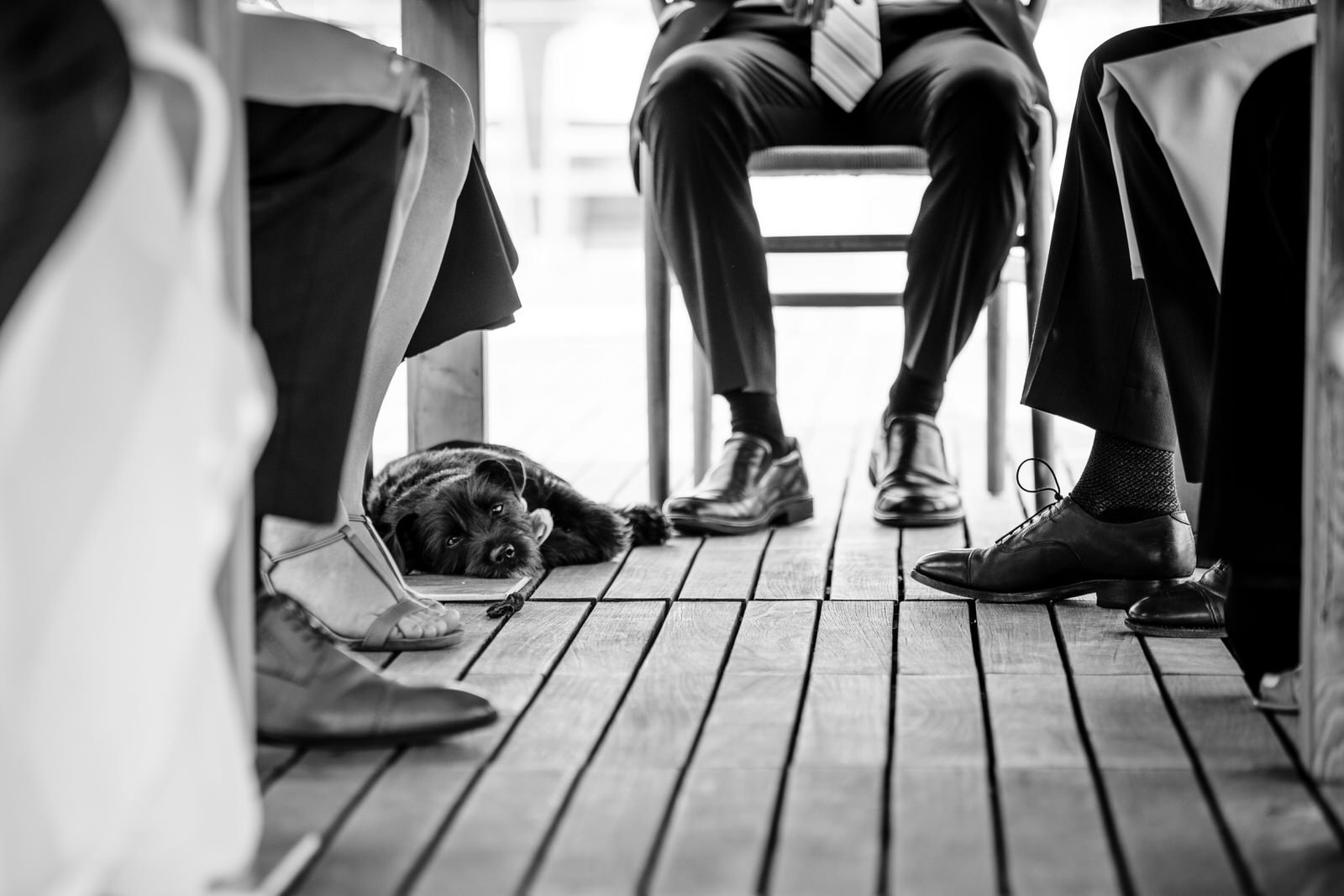 TheLineHotelDCWedding - CarolineandLuke - Reception-7645.jpg