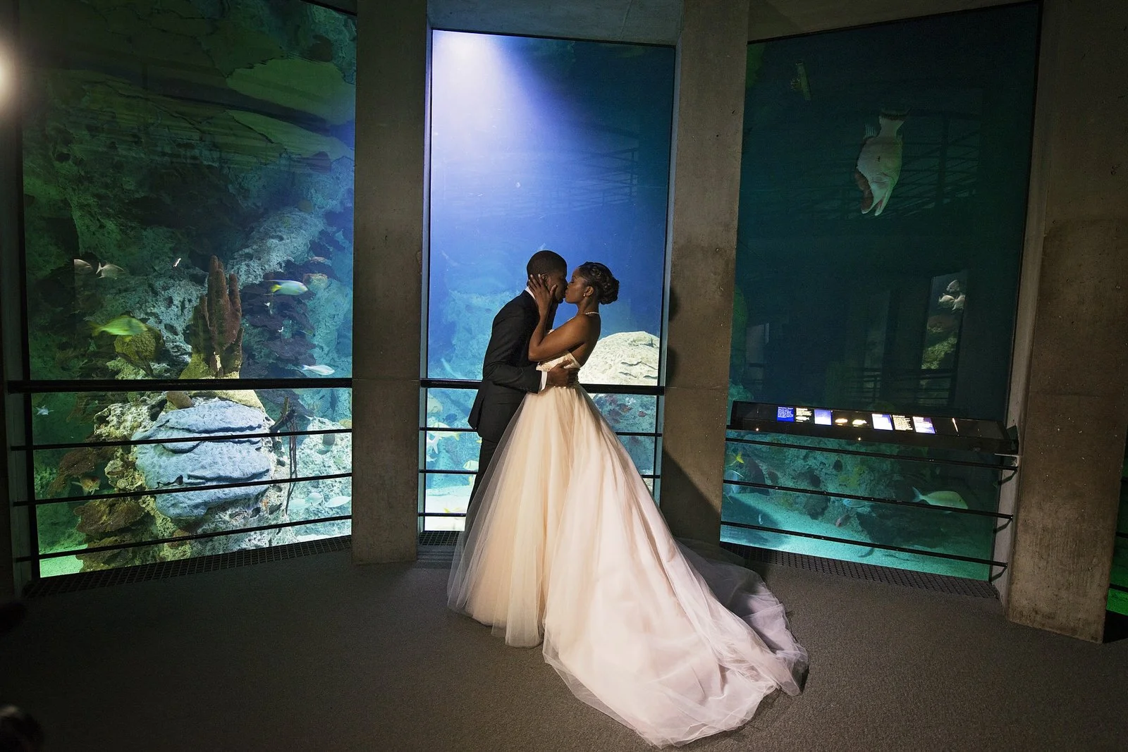 BaltimoreAquariumWedding-L'Oreal&Jeff759.jpg