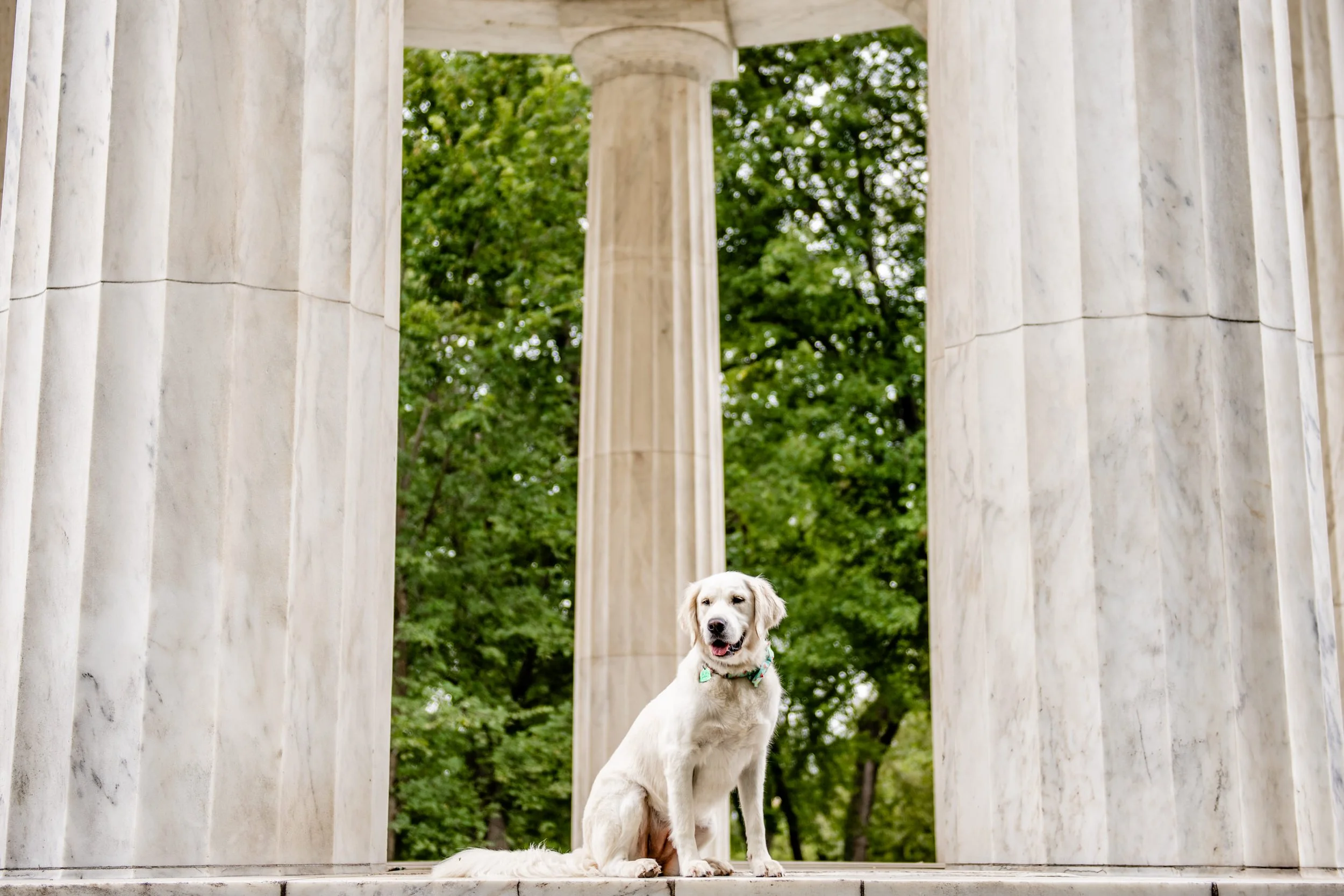 WashingtonDCElopement-Christina&Jason-9426.jpg