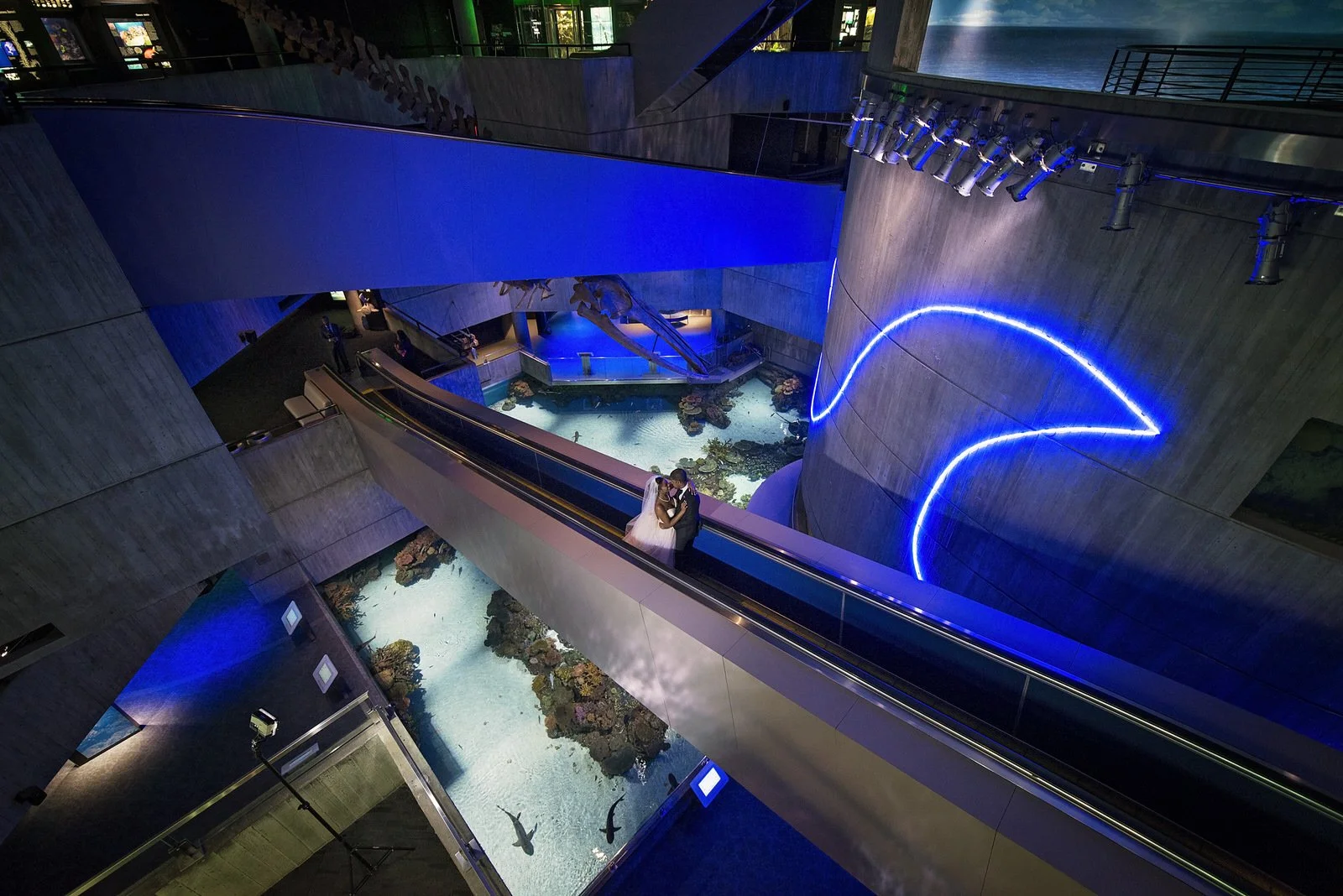 BaltimoreAquariumWedding-L'Oreal&Jeff1134.jpg