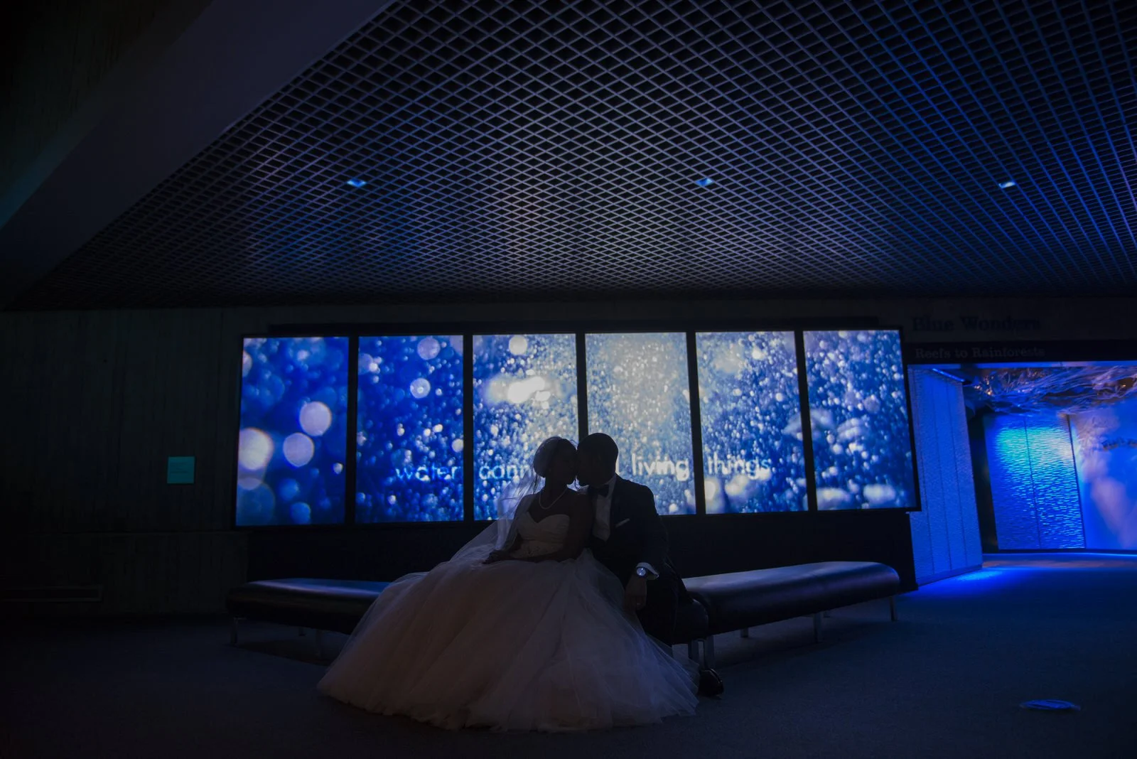 BaltimoreAquariumWedding-L'Oreal&Jeff791.jpg