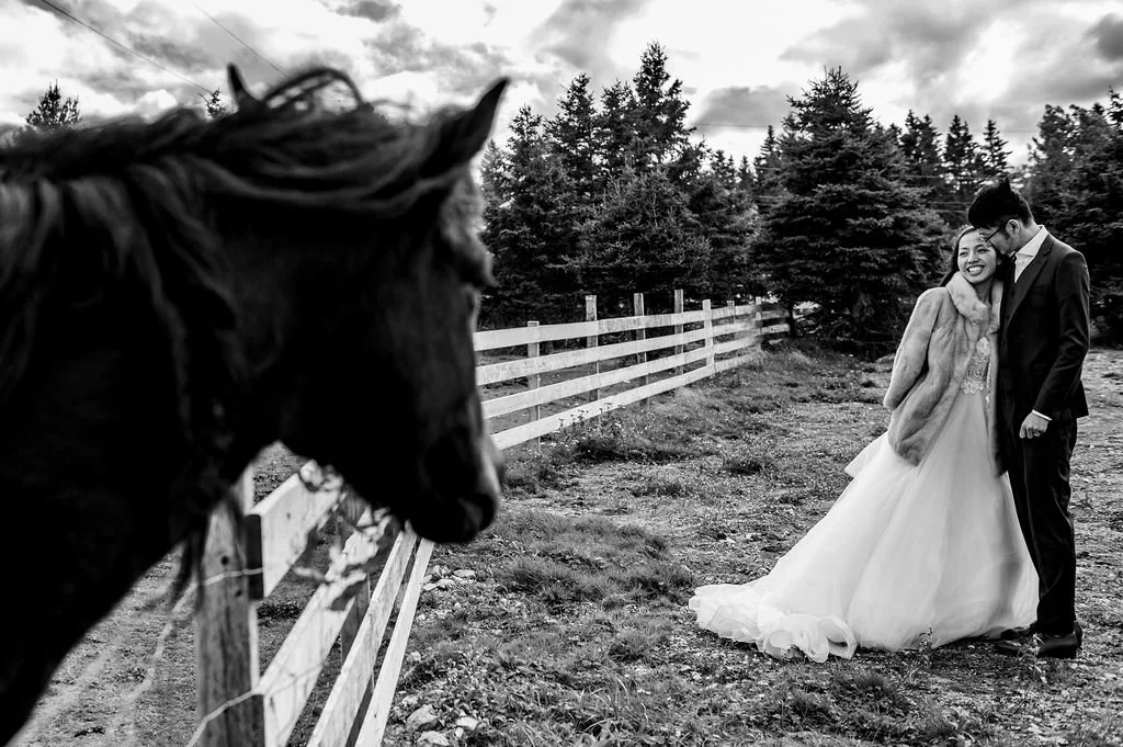 NewfoundlandWedding-Joy&Ray-DayAfter-8613.jpg