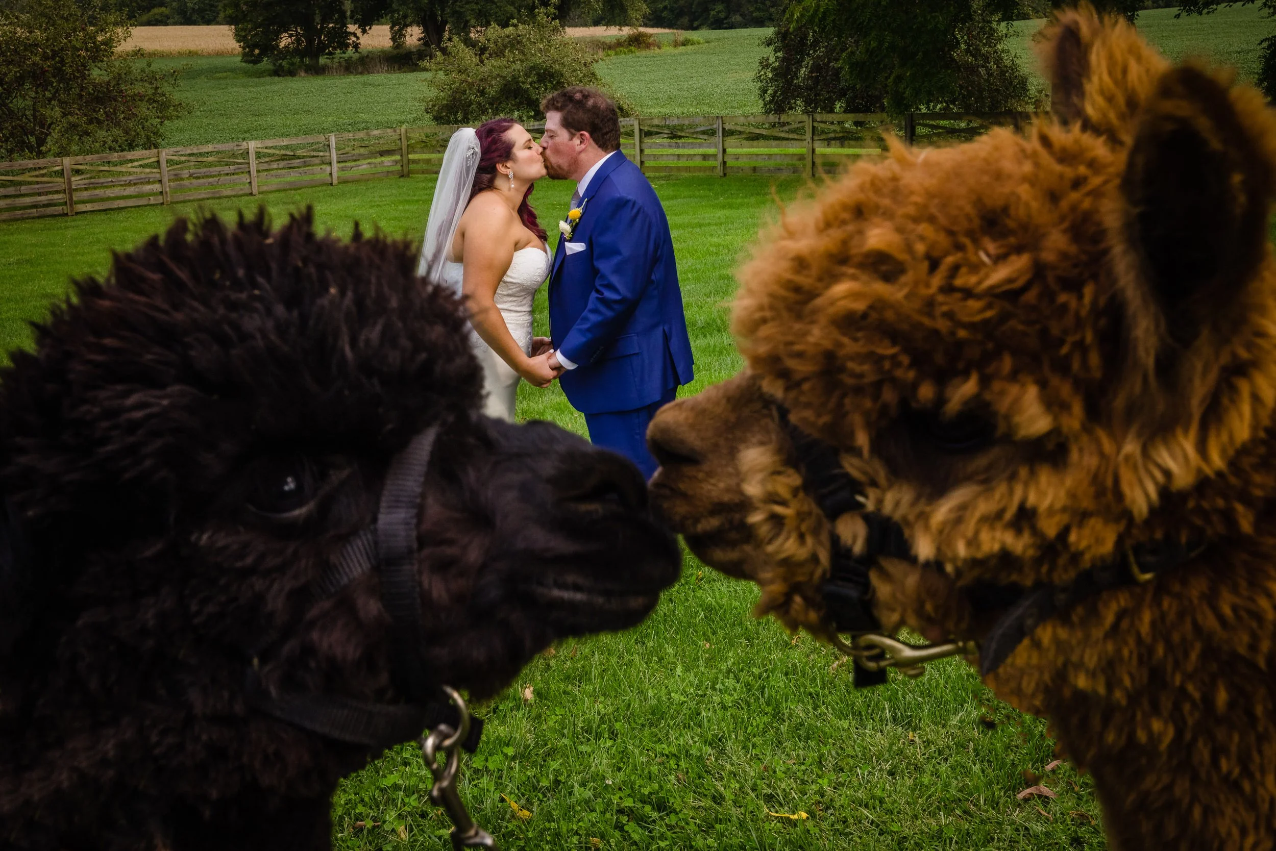 Walkers-Overlook-Walkersville-Maryland-Wedding-Photography