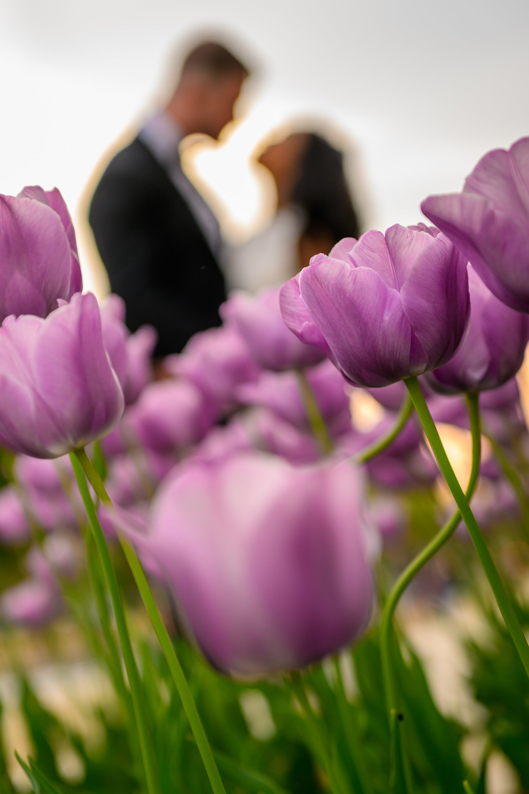 DC Museum Elopement - DC Elopement Photographer- Love and Adventure Photography