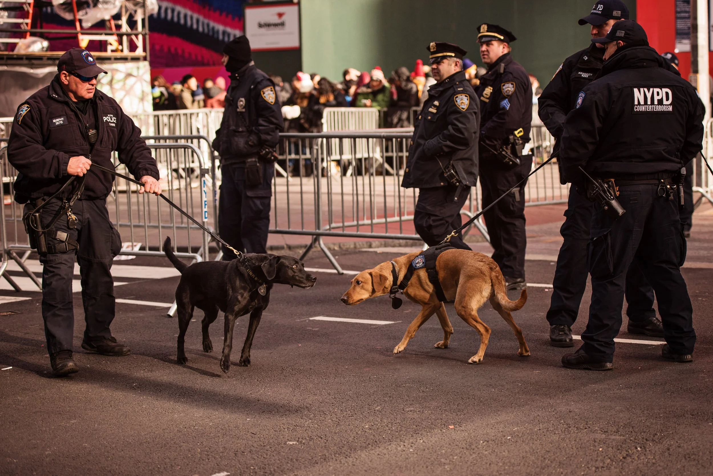 TimesSquareNYE2016-KathleenHertelPhotography-9.jpg