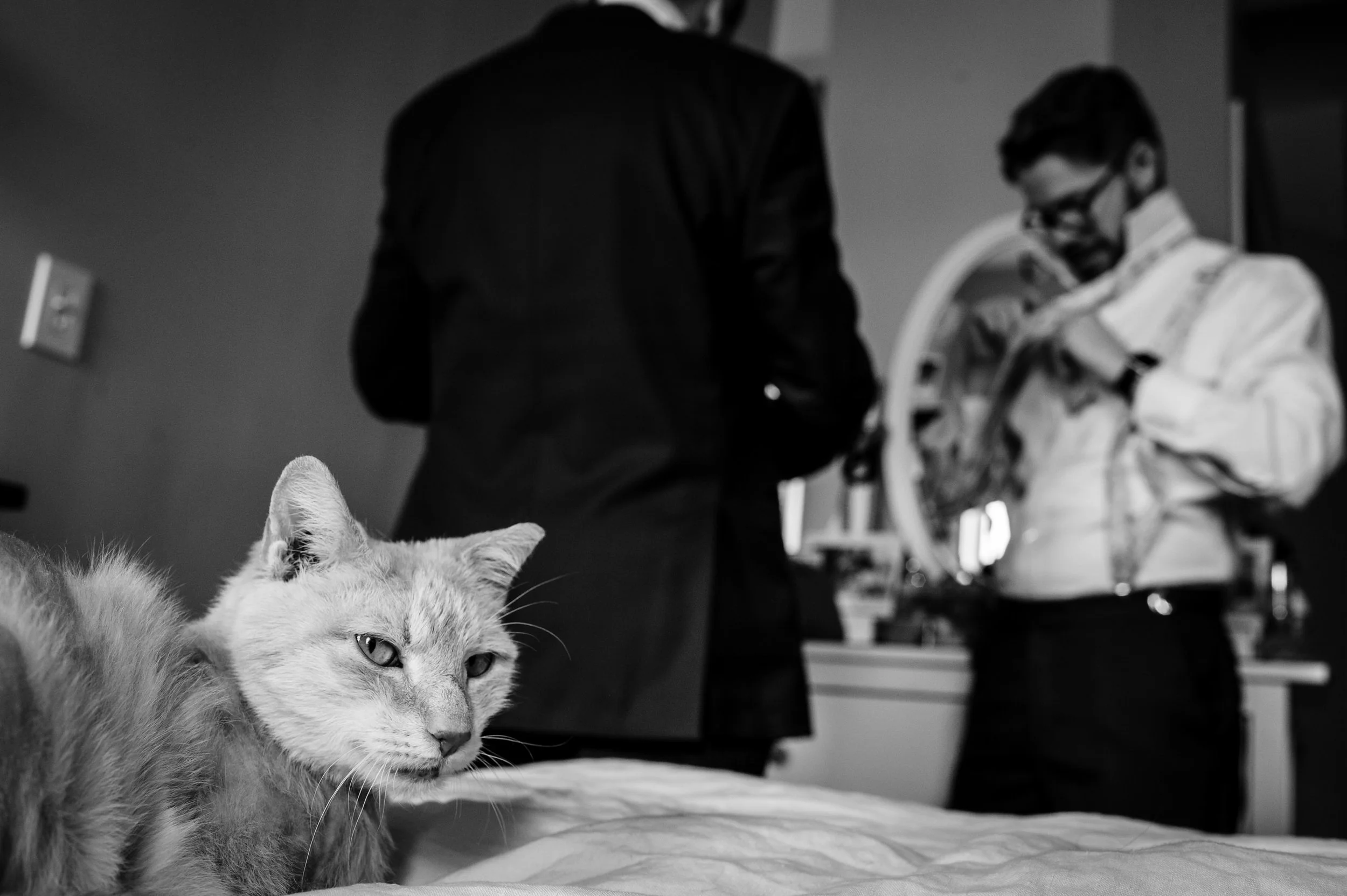 Ampersea Wedding - Baltimore Wedding Photographer - Love and Adventure Photography
