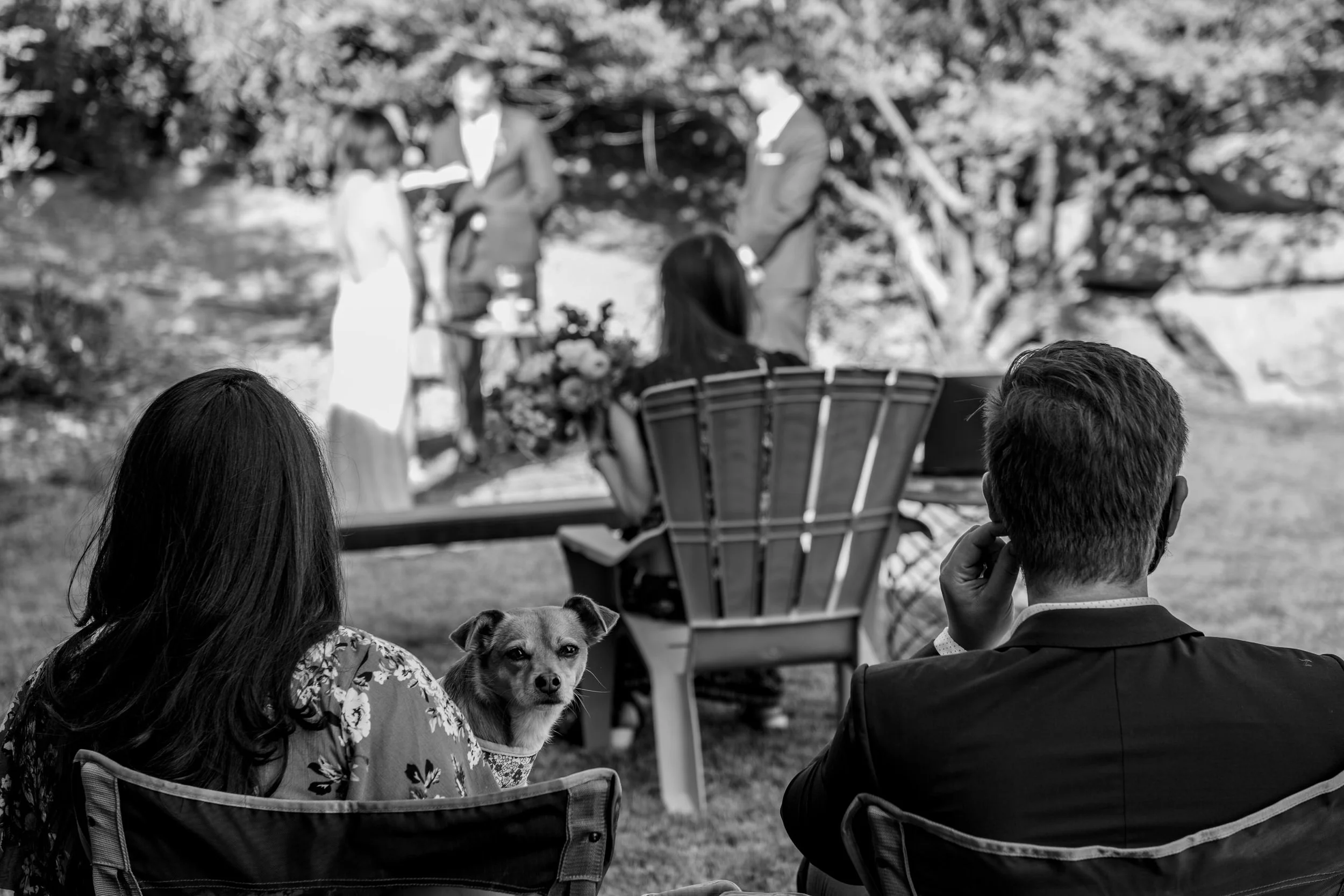 UtahWedding-Patty&David-ceremony-7861.jpg