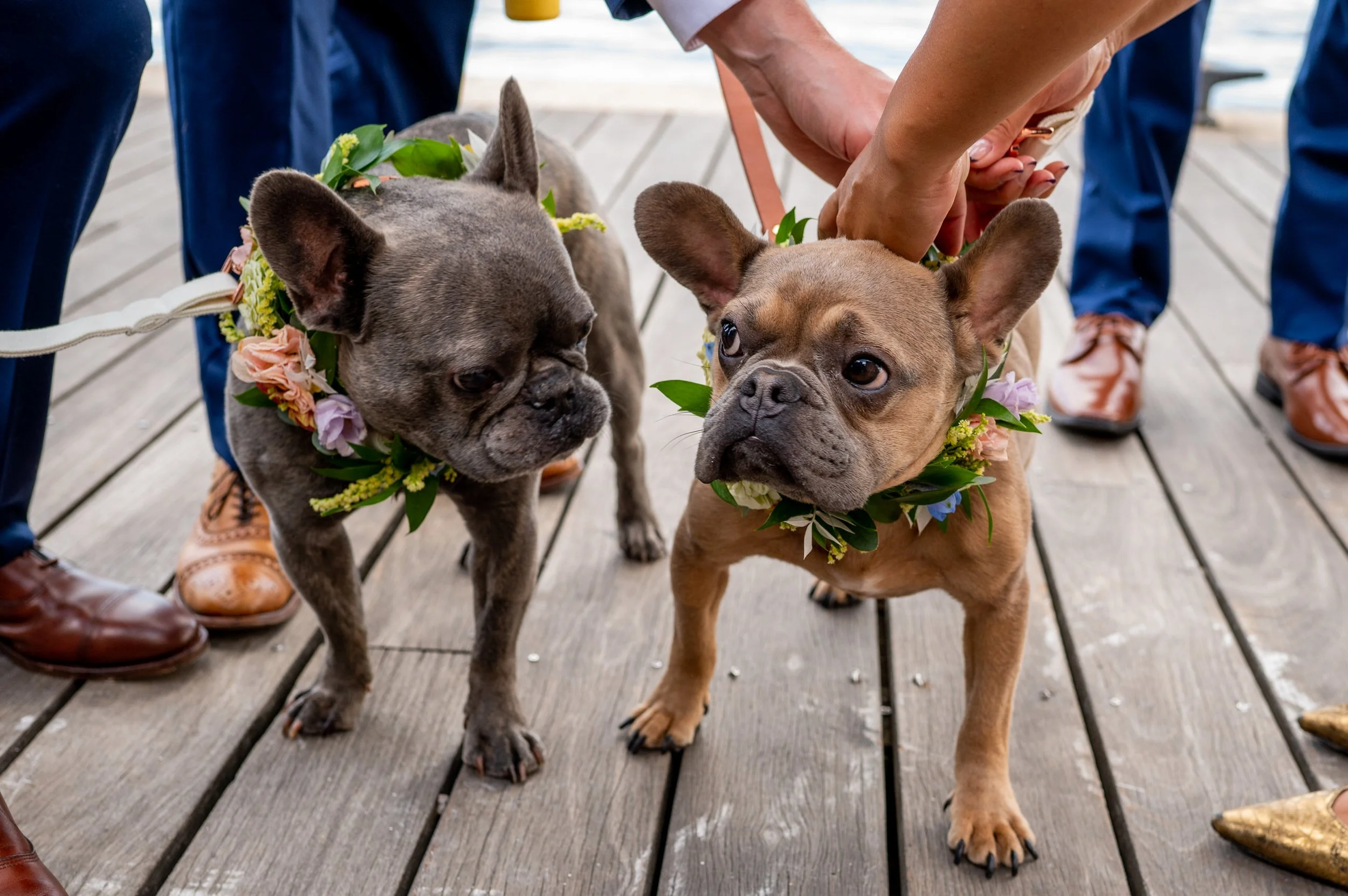 Ampersea Wedding - Baltimore Wedding Photographer - Love and Adventure Photography