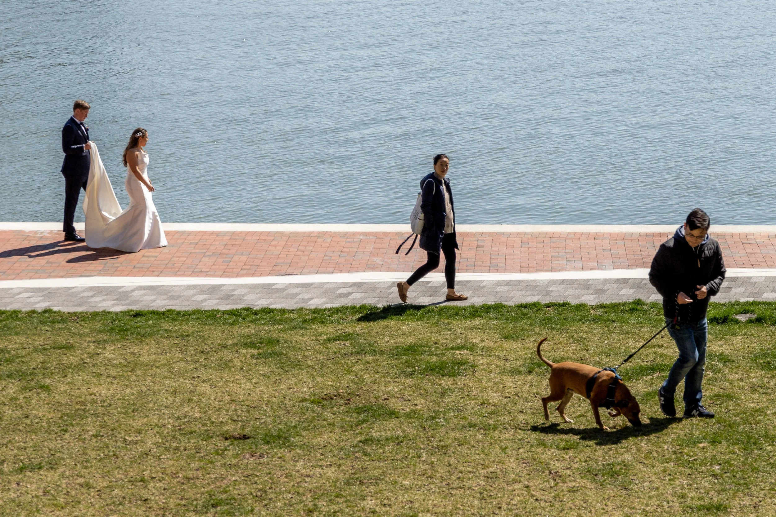 American_Visionary_Museum_Baltimore_Wedding_Allison&Dan-8615.jpg