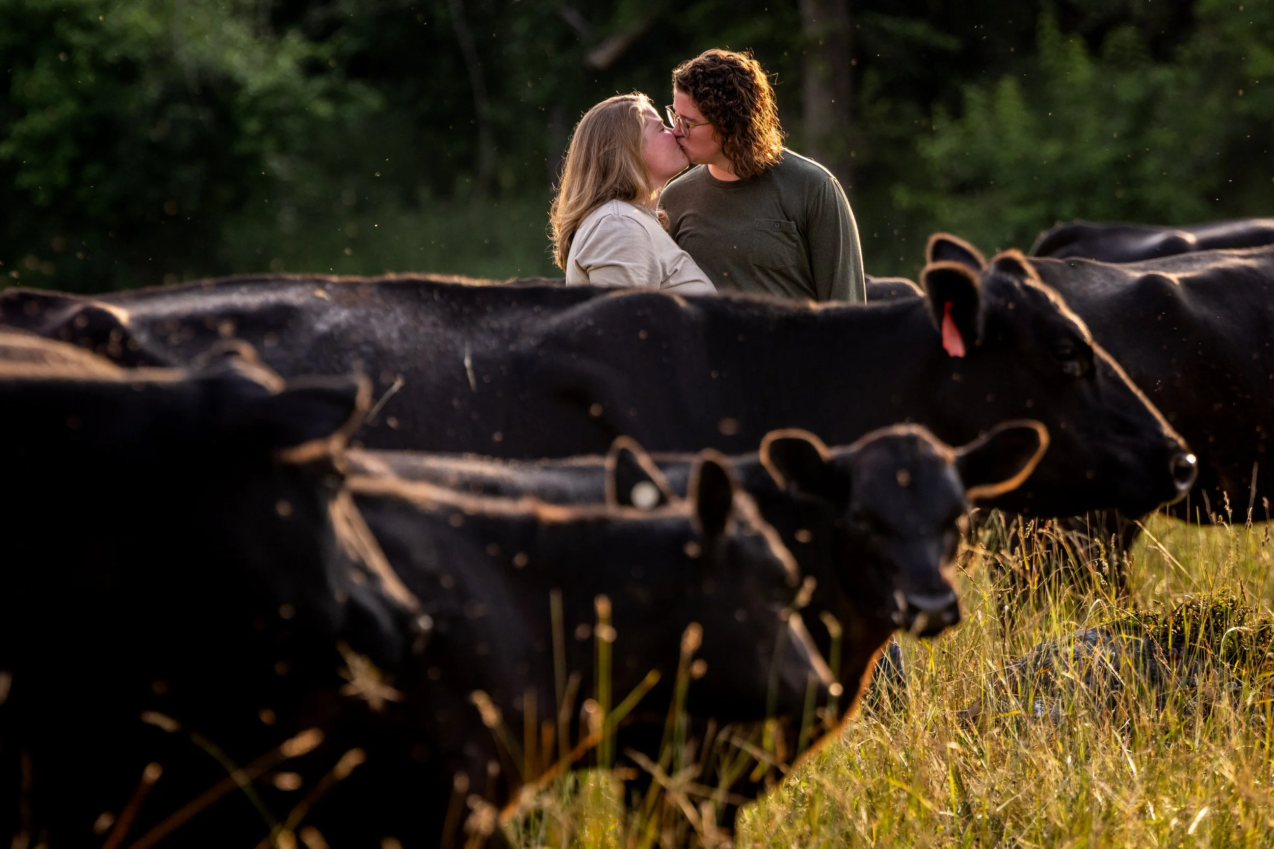 Washington_DC_Elopement_Cow_Farm_Catherine&Emily-5136.jpg