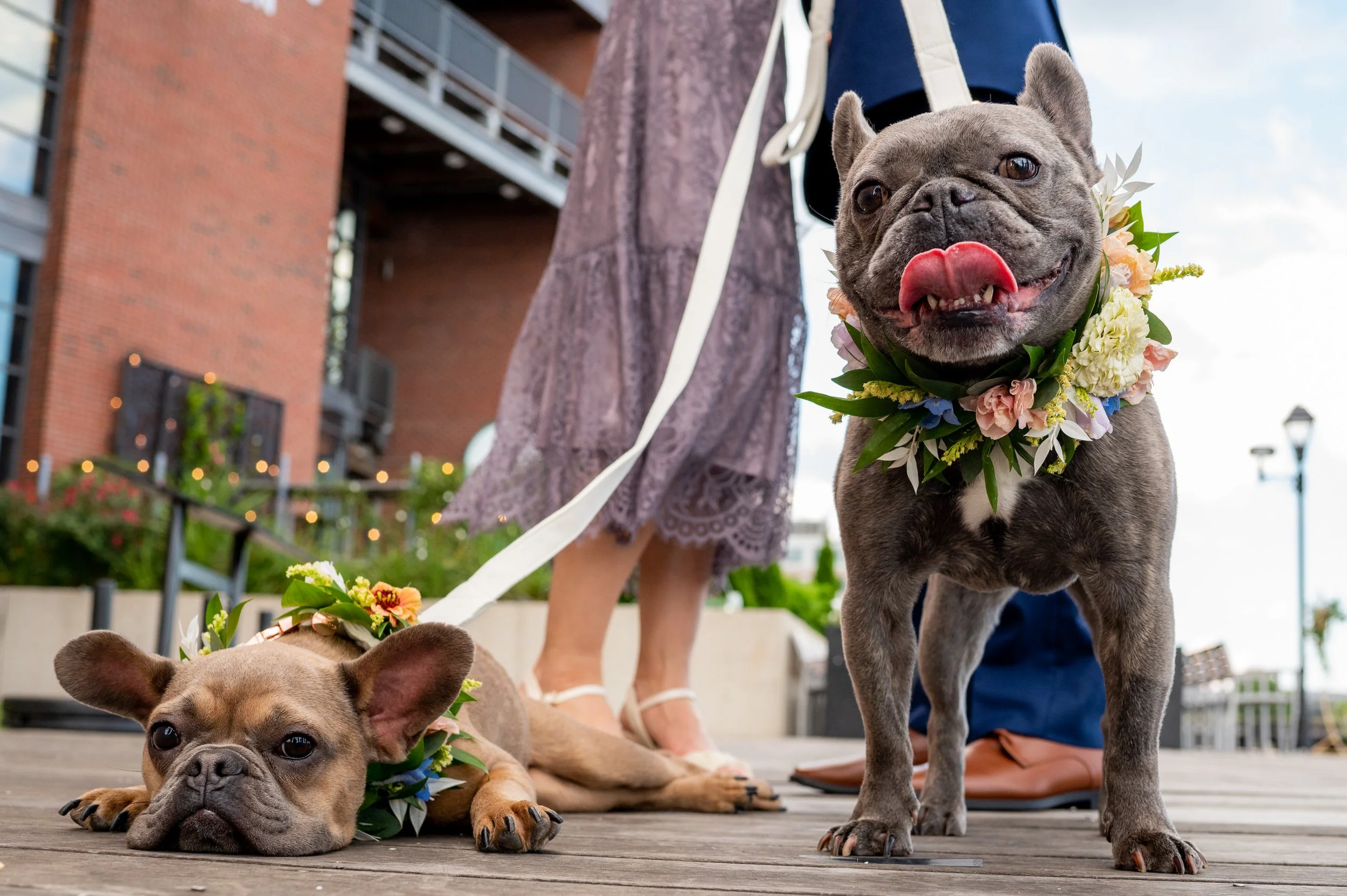 Ampersea Wedding - Baltimore Wedding Photographer - Love and Adventure Photography