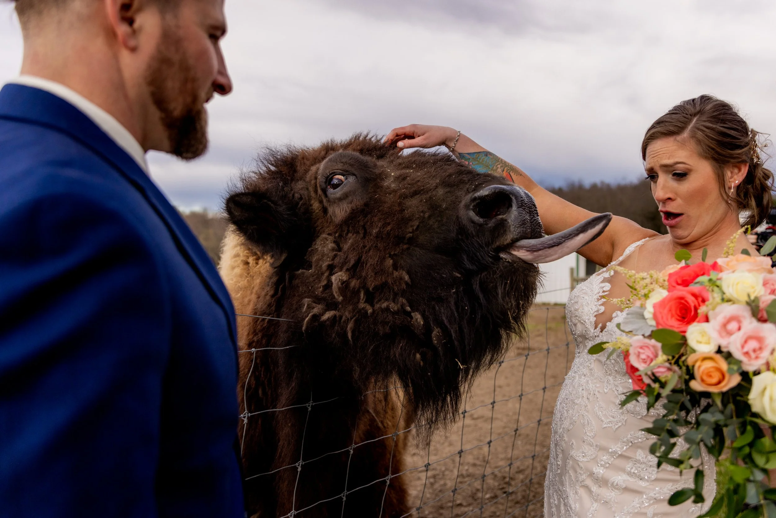 Maryland Petting Farm Wedding - Maryland Wedding Photography - Love and Adventure Photography