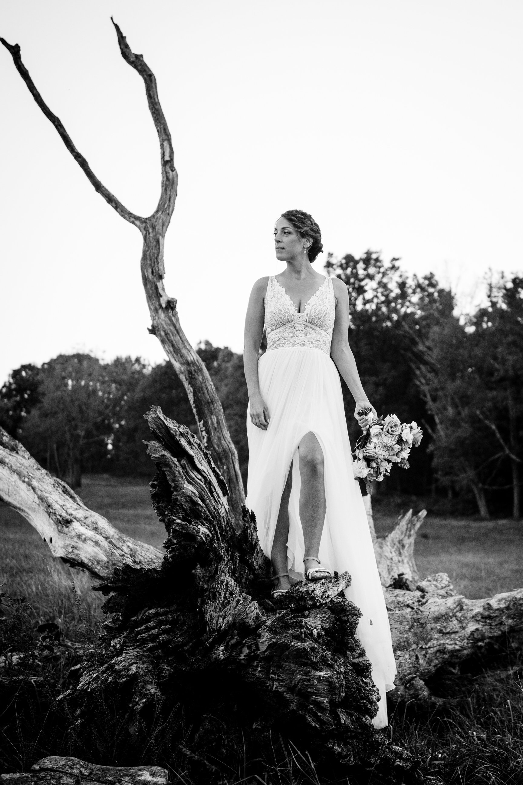 VirginiaSheepFarmWedding-LindsayandRob-6711.jpg