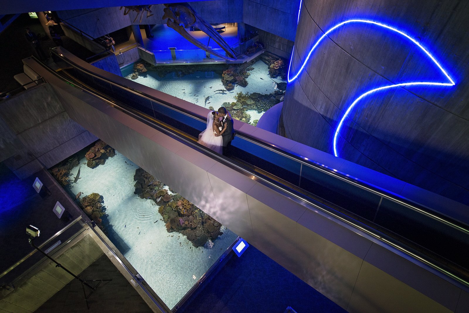BaltimoreAquariumWedding-L'Oreal&Jeff1138.jpg