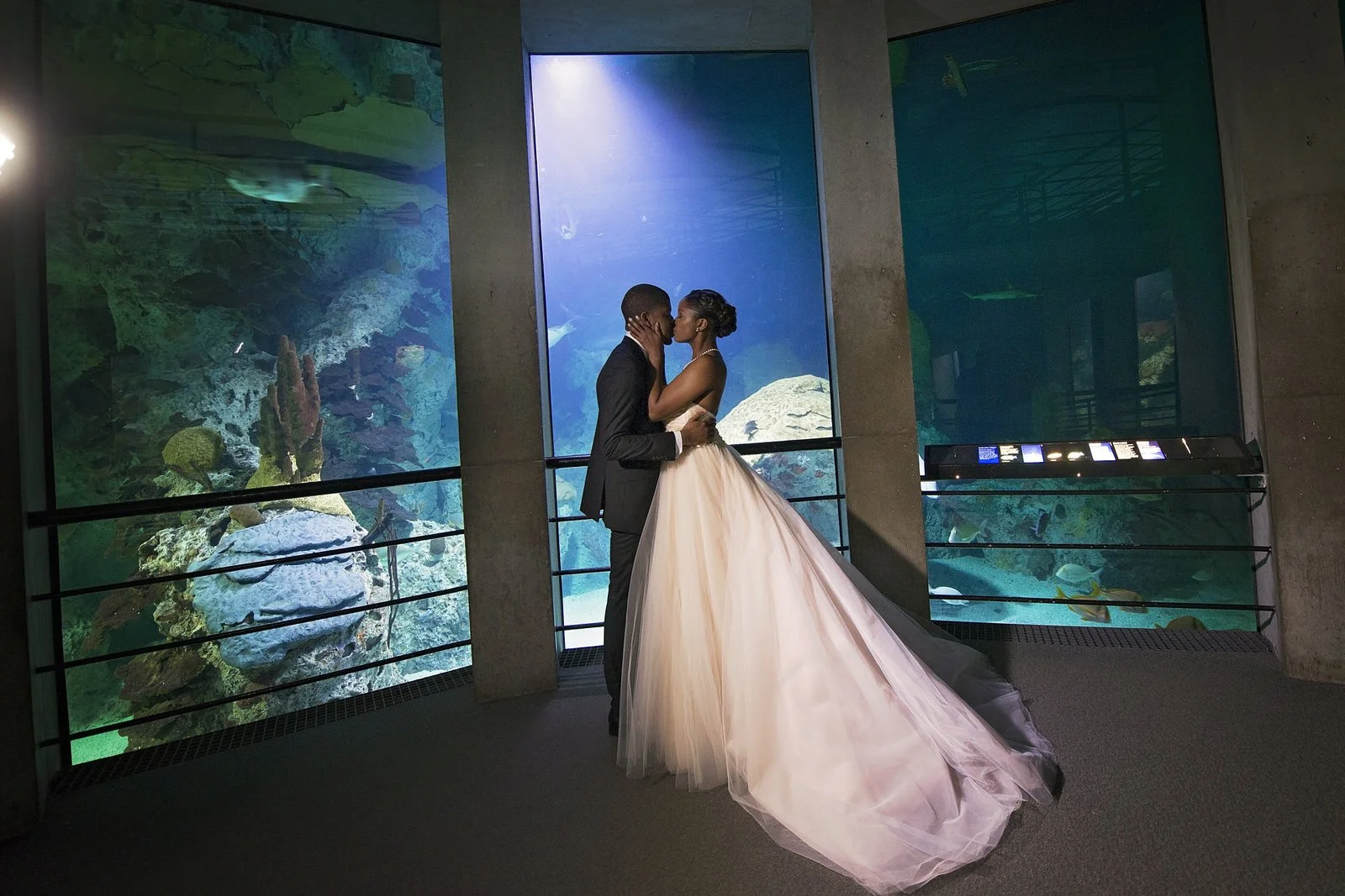 BaltimoreAquariumWedding-L'Oreal&Jeff753.jpg