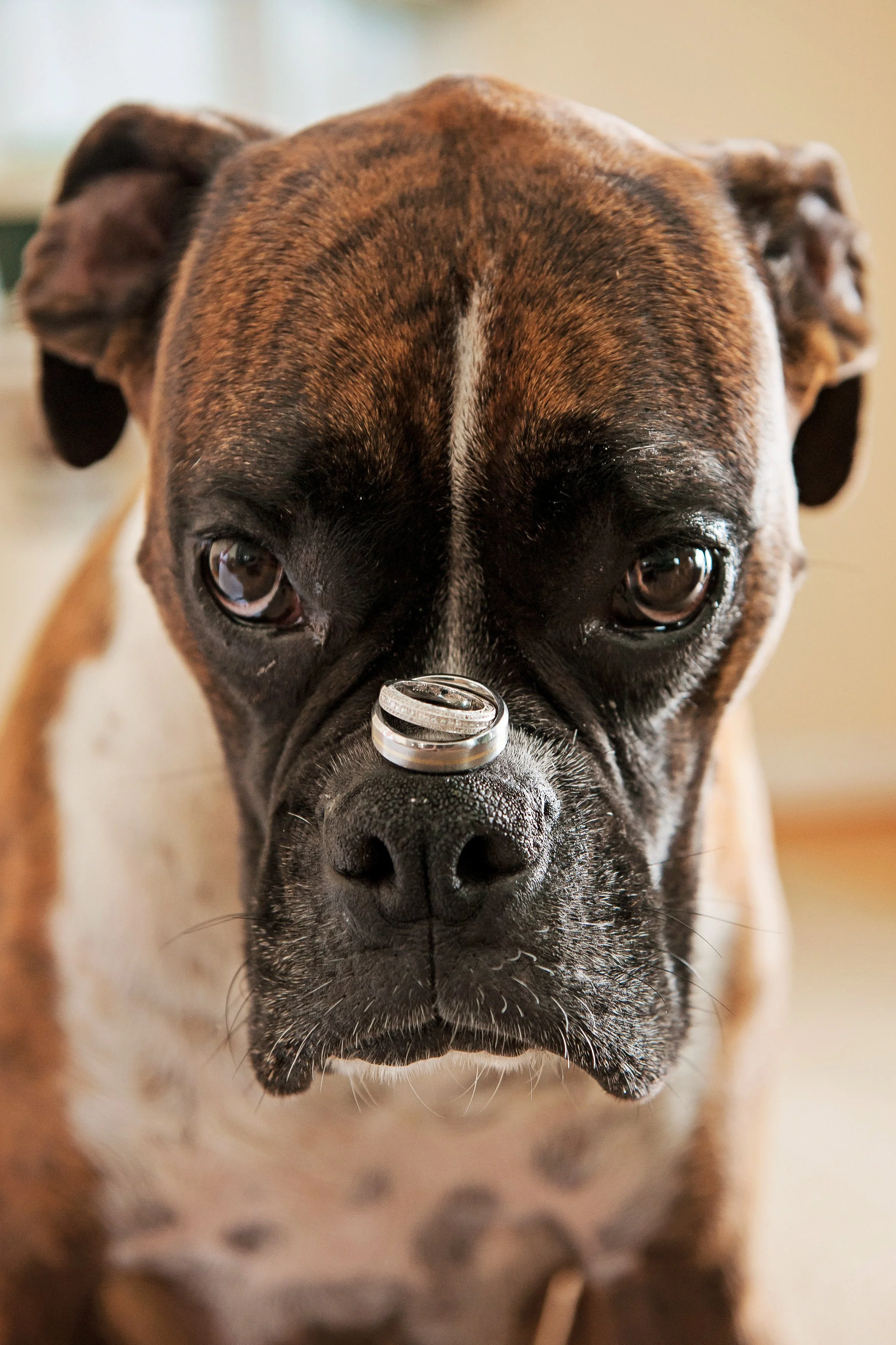 KathleenHertelPhotography-Gallery-81.JPG