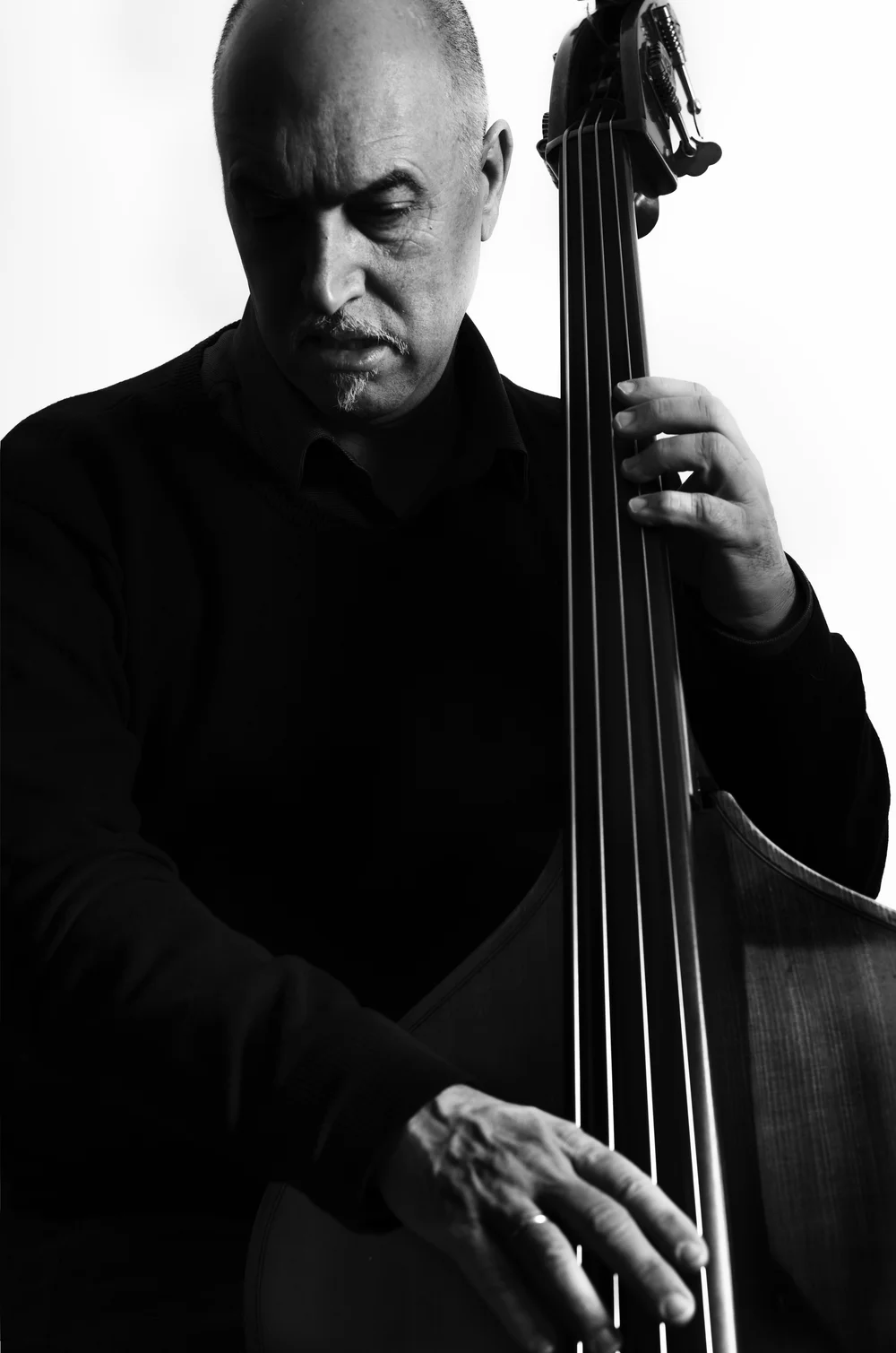 Roberto Occhipinti Quartet artwork from The Rex