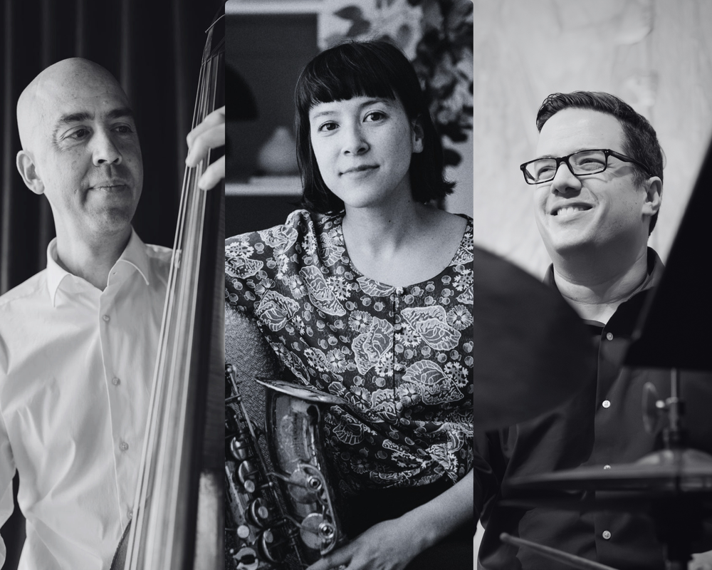 Michael Herring, Allison Au & Ernesto Cervini Trio artwork from The Rex