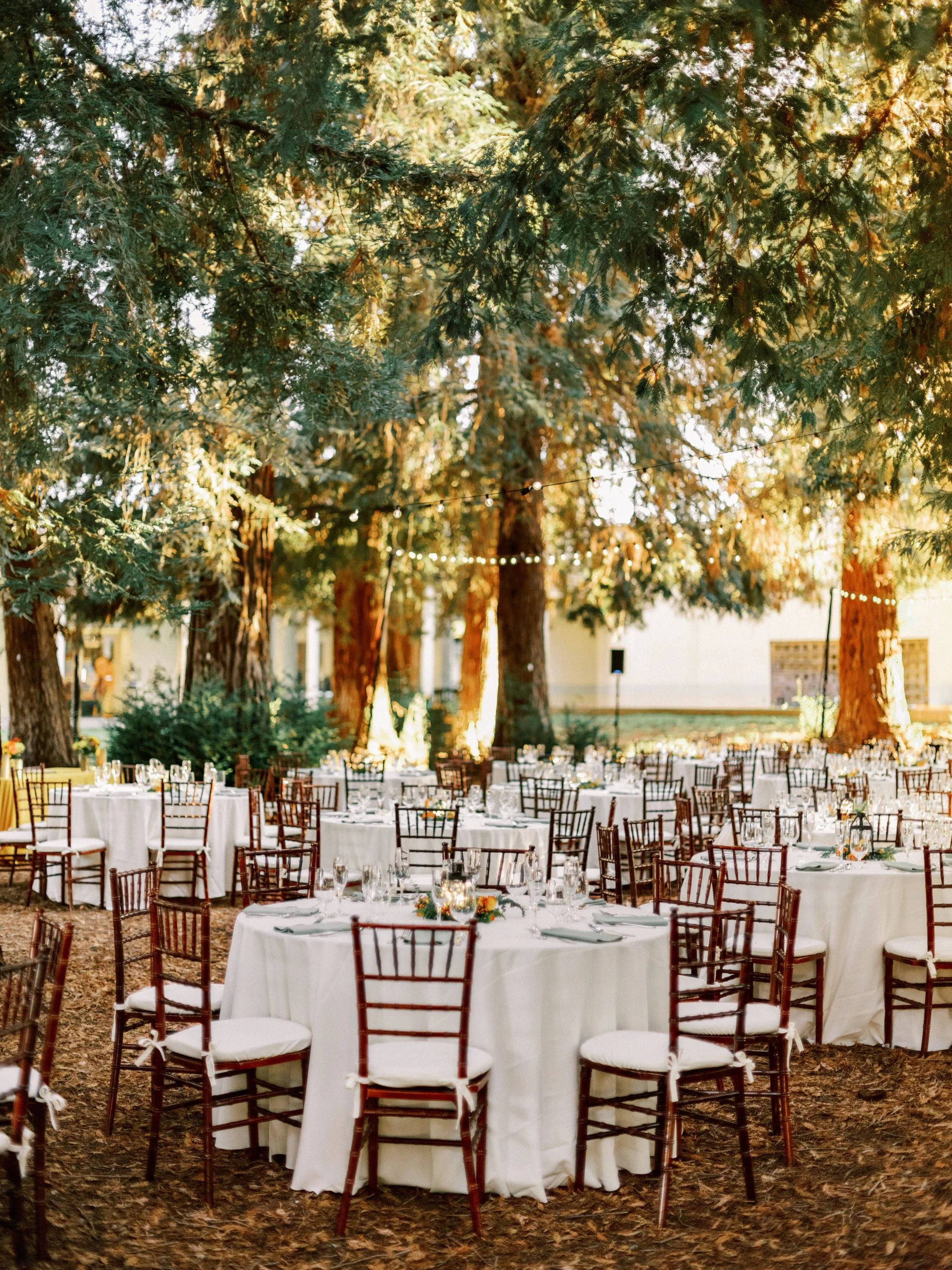 DSCF7225-Edit (1).jpg