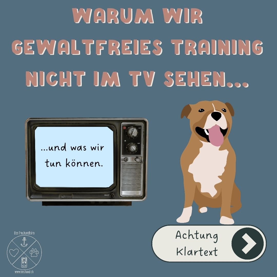 Let's get loud Leute! Statt sich dr&uuml;ber aufzuregen, lasst uns alle eine Beschwerde an die Redaktion von &quot;Bunte Hunde&quot; schreiben. Und teile deine Erfolgsstories mit gewaltfreiem Training! Zum Beispiel auf @positivundlaut damit endlich s