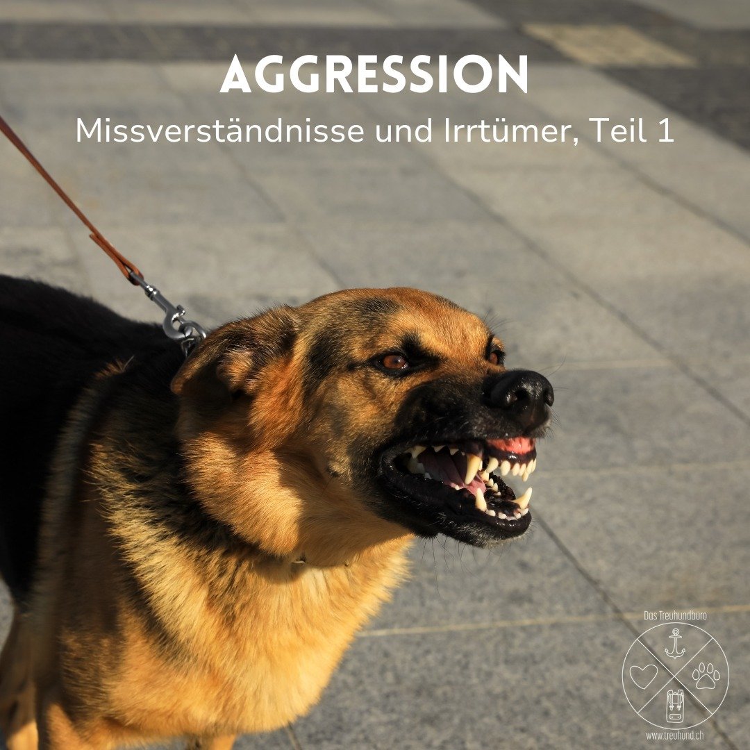 Einer der gr&ouml;ssten Irrt&uuml;mer ist: Ein guter Gehorsam verhindere Aggression. Oftmals wird an Aggressionsverhalten an Signalst&auml;rke, also am sogenannten Gehorsam, gearbeitet. Jedoch beeinflusst die Signalsicherheit des Hundes nicht die Emo