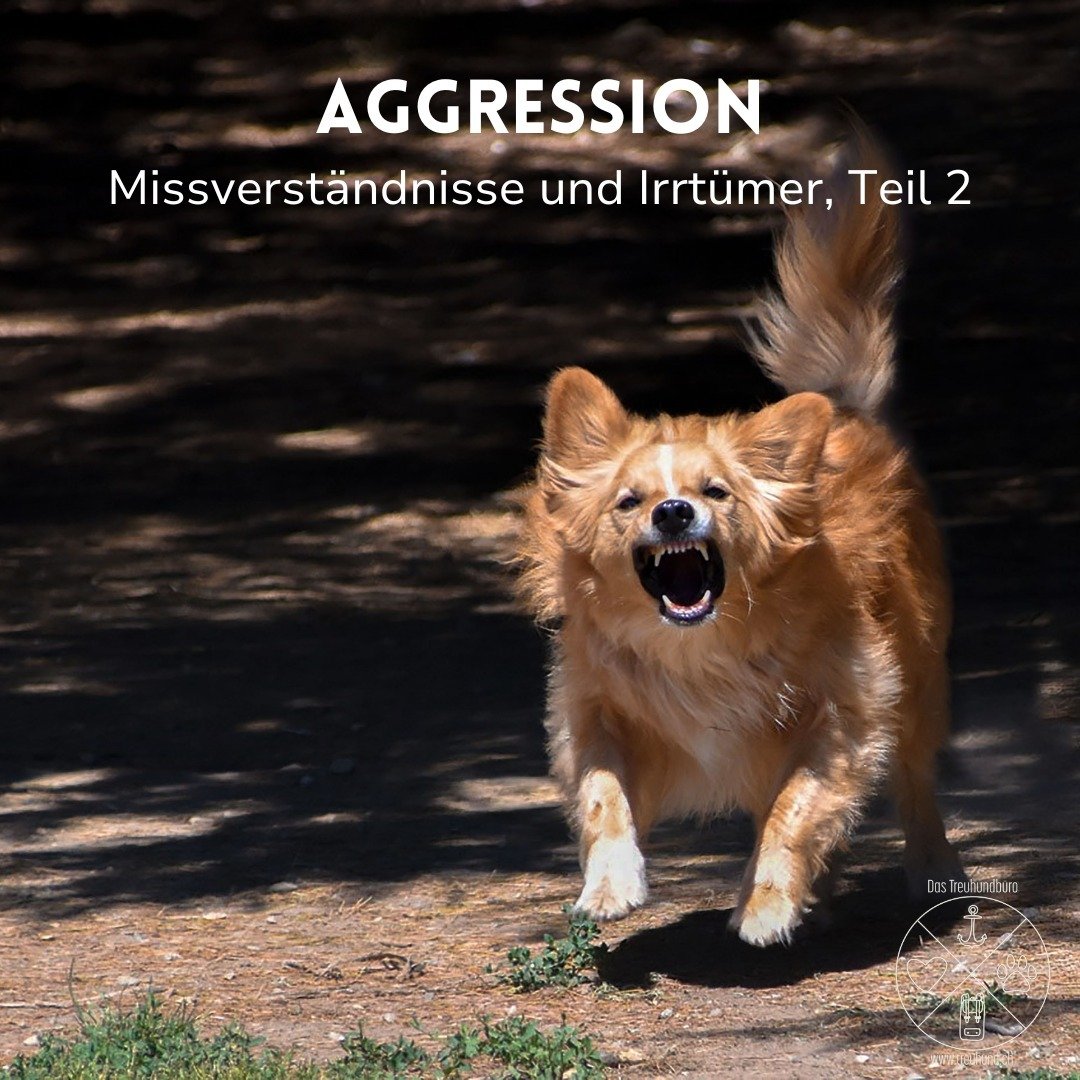 Aggression hat nichts mit Rasse zu tun. Aggression ist ein angeborenes Verhaltensprogramm zum Selbstschutz. Dieses ist in allen Hunderassen angelegt. Schaut man sich die Studien zu dem Thema an, m&uuml;ssen wir stark differenzieren. Denn: In vielen A