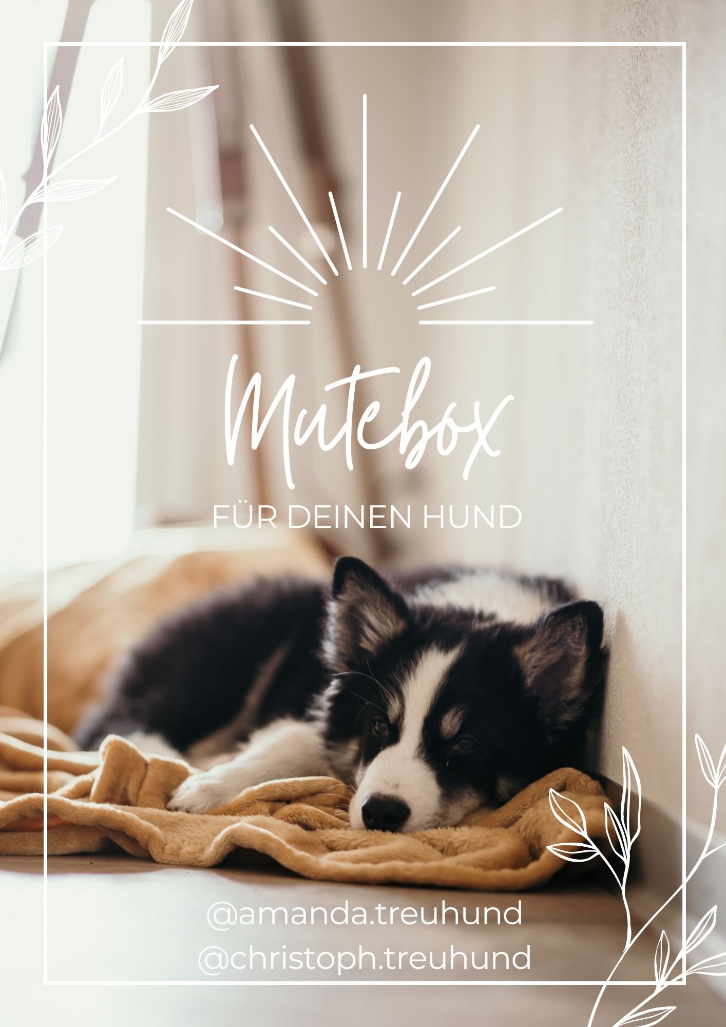 Anleitung Mutebox