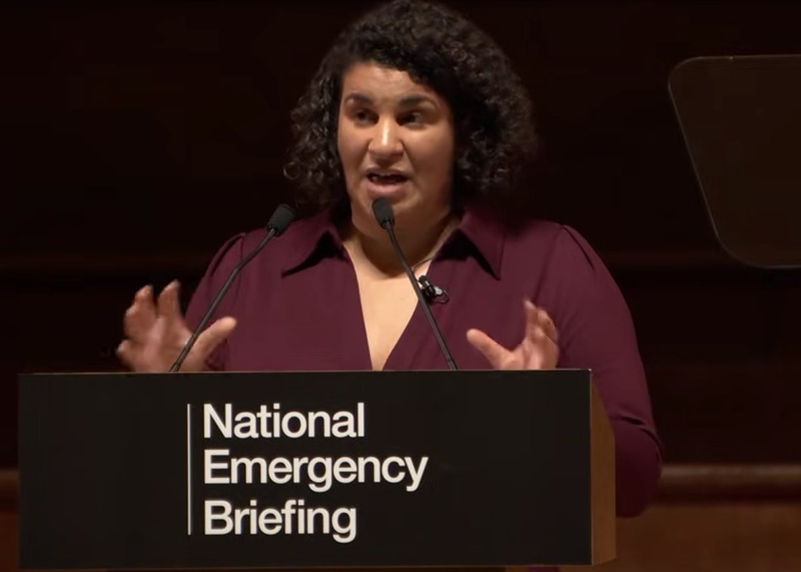 National Emergency Briefing: low carbon economics