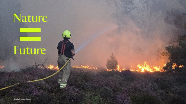 Petition: Make wildfire prevention a national priority