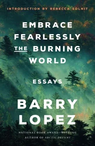 Book cover of Embrace Fearlessly the burning world