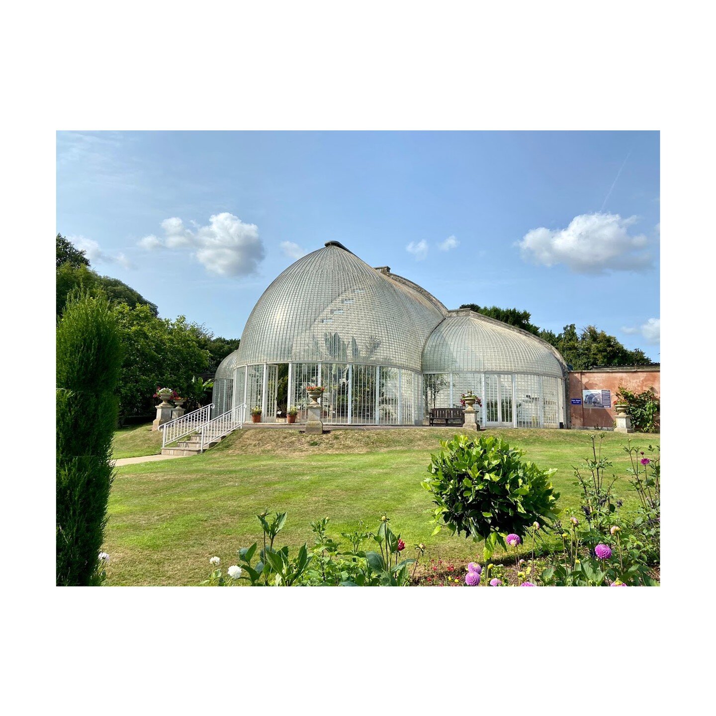 Last week one of our directors Anya went on holiday with her family to East Devon, visiting the Bicton Park Botanical Gardens. 
 
The botanical gardens contain The Palm House which was built around c.1825-30 and is regarded as the second largest stru