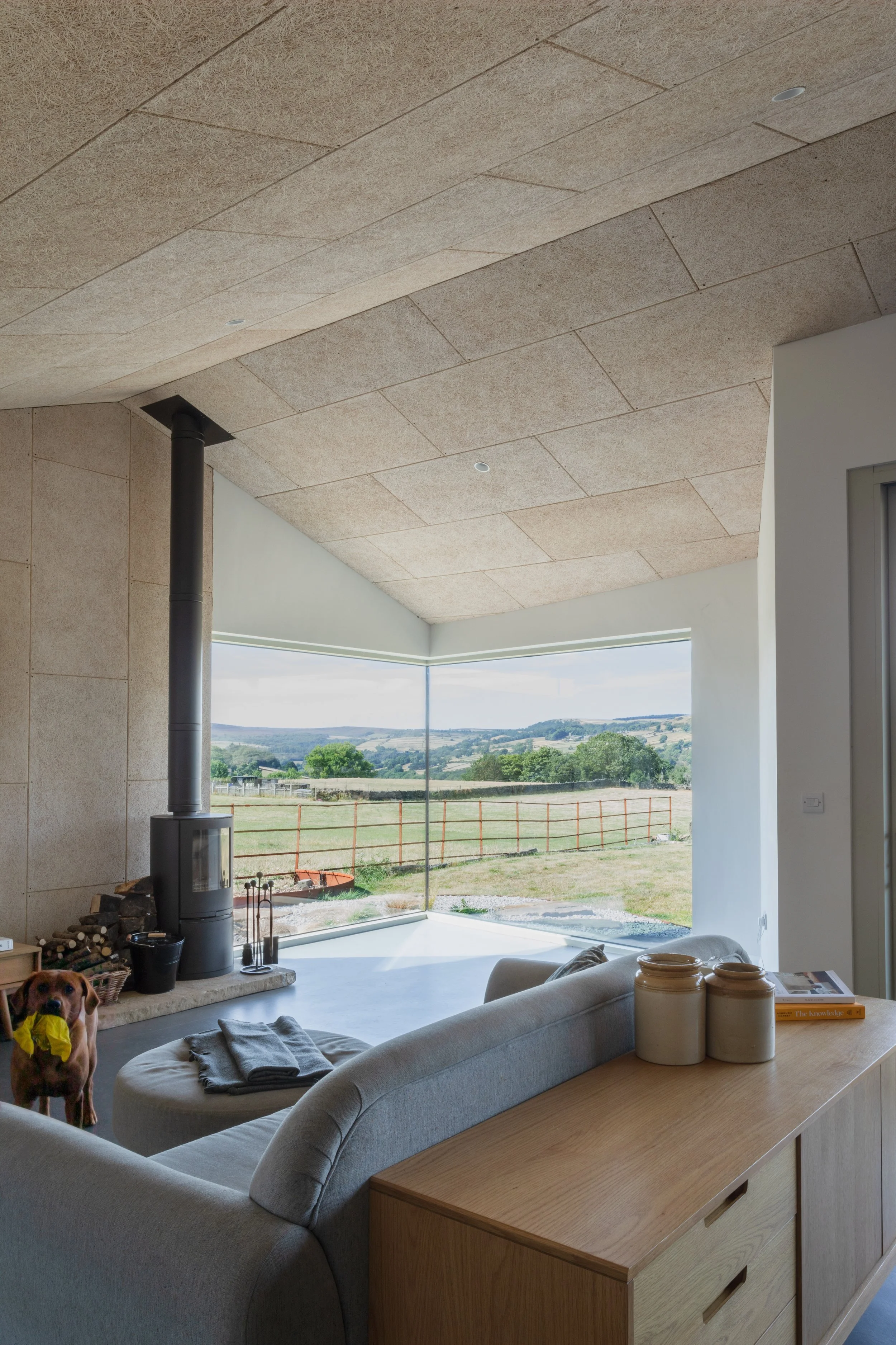 Greenfold_glazed_corner_thread_architects.jpg