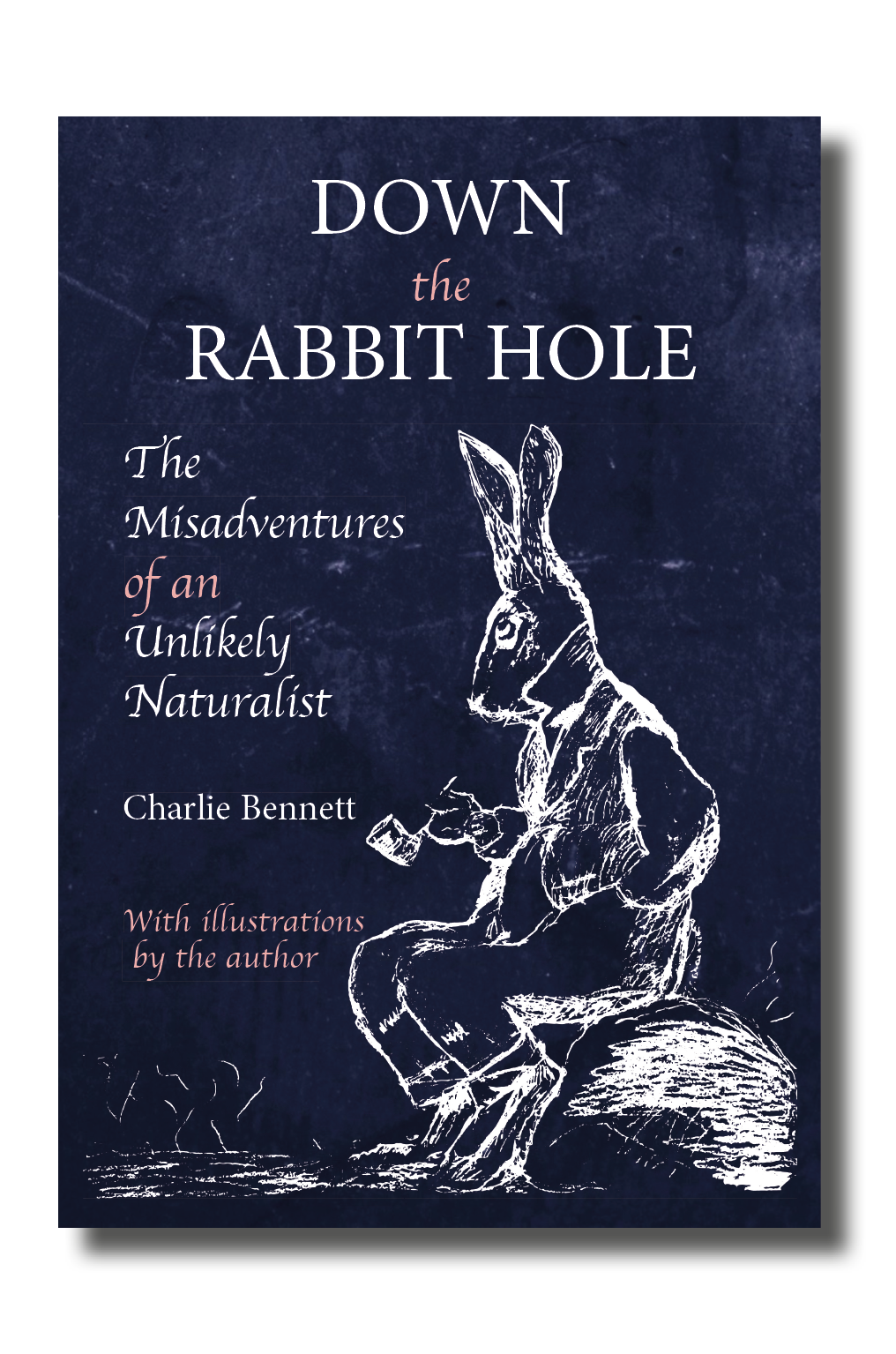 DtRH cover pic2.png