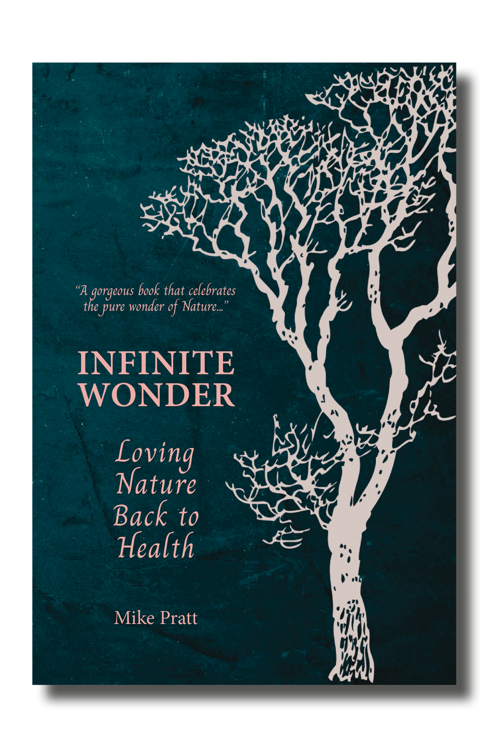 Infinite Wonder cover.png