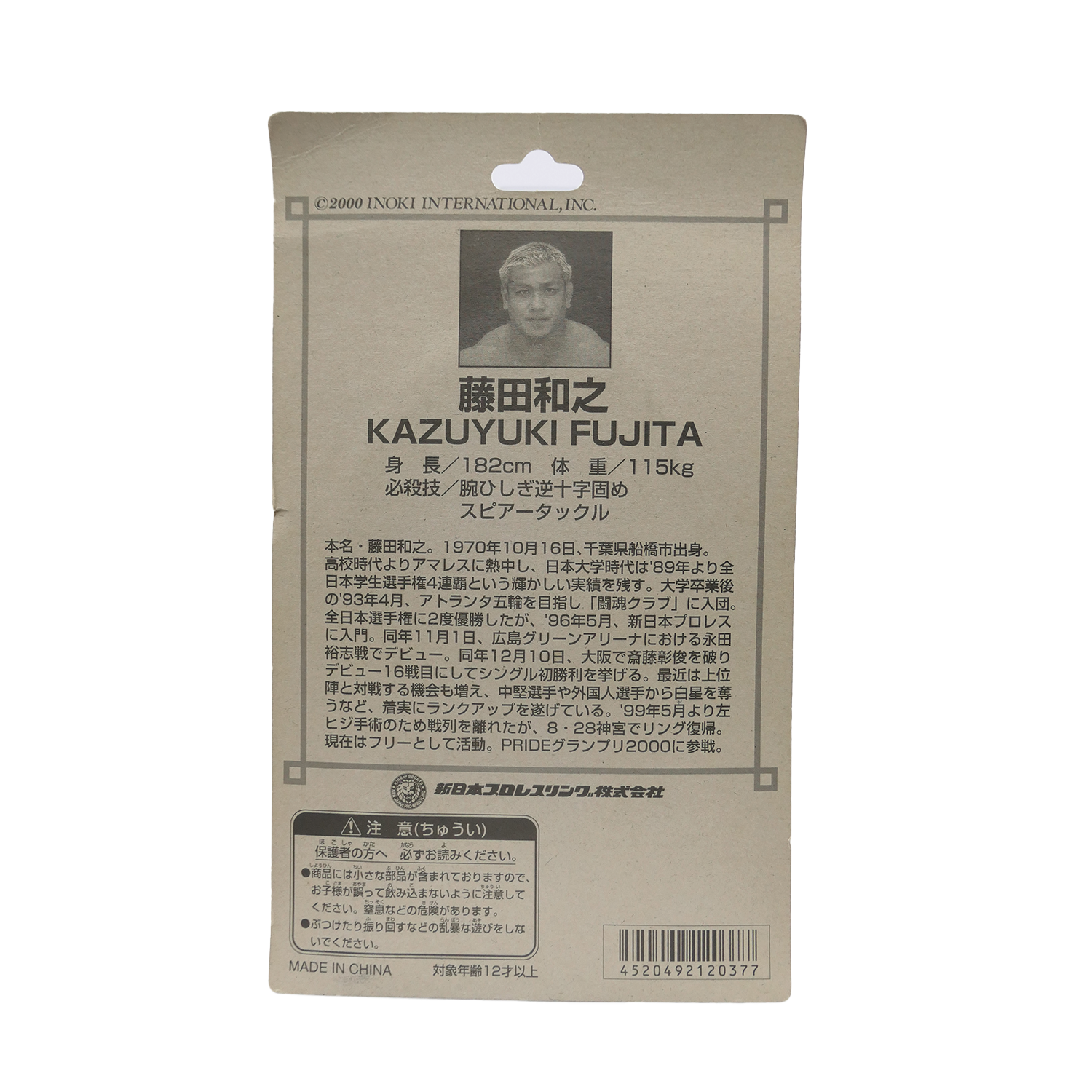 fujita-back.png