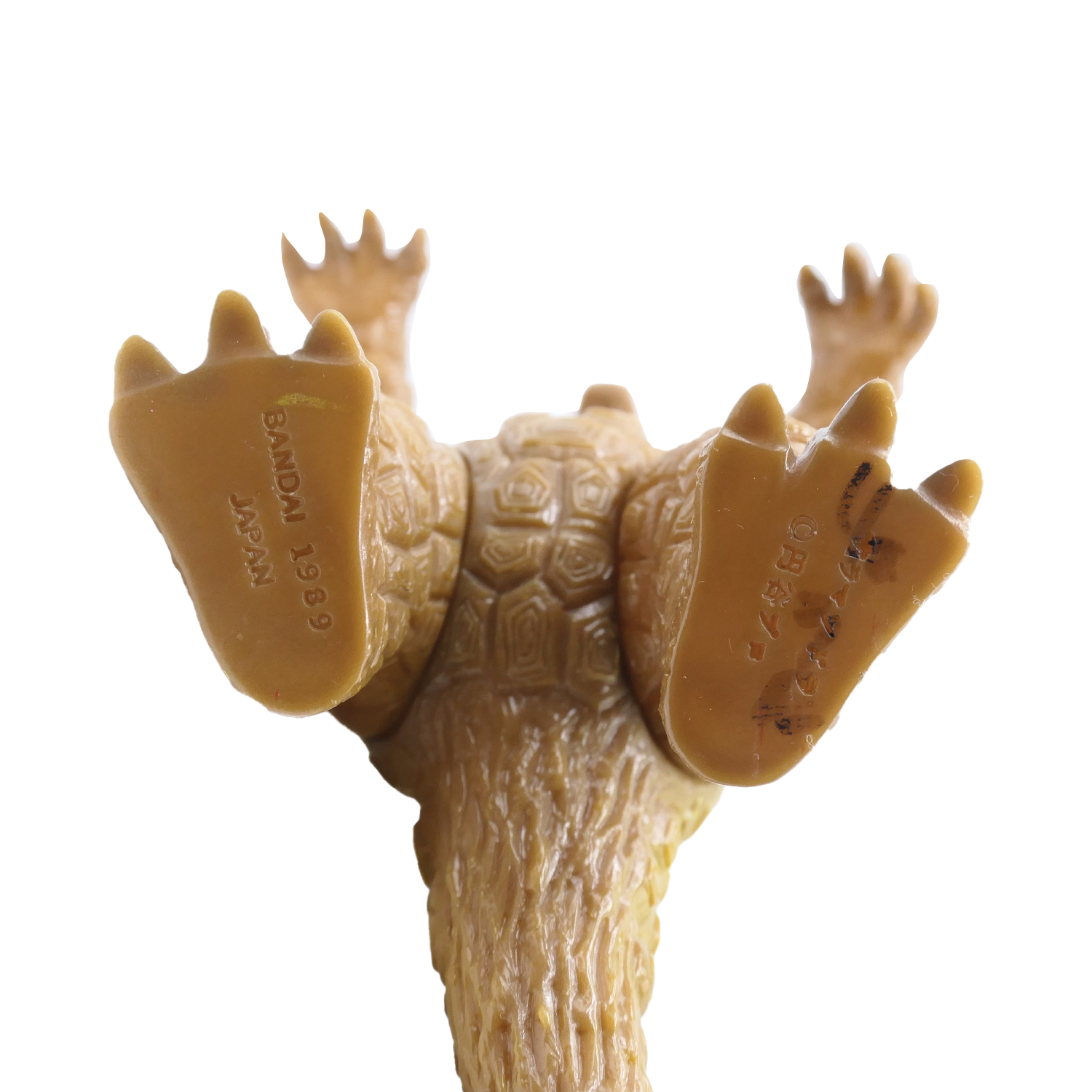 dino-foot.png