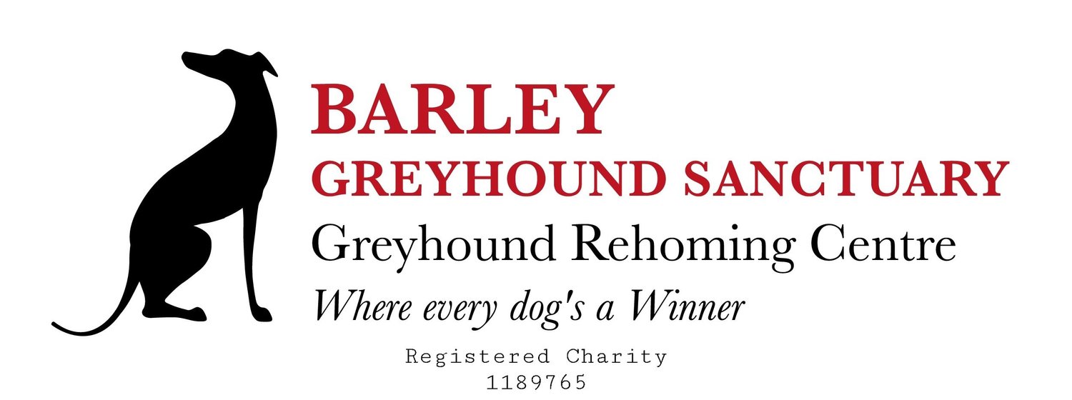 Barley Greyhound Sanctuary