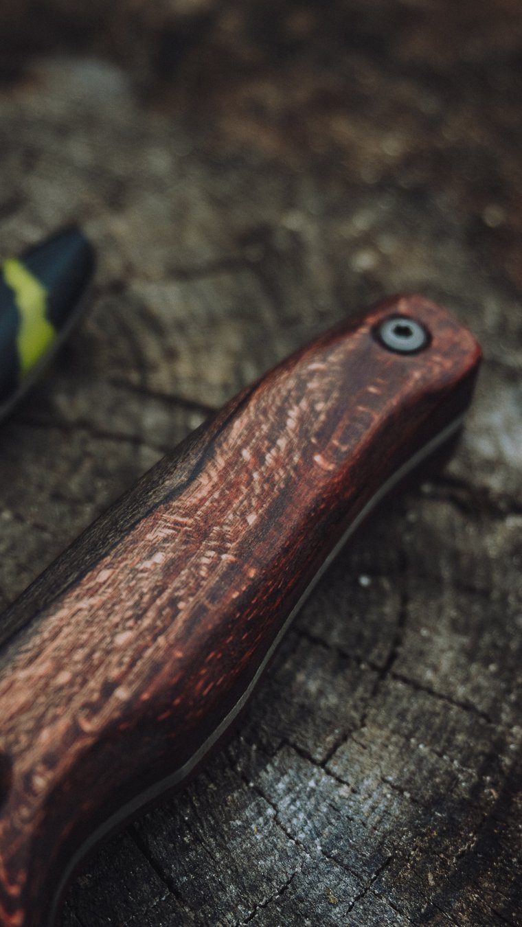 Scout & Wanderer - 17.04.2026-01.jpg