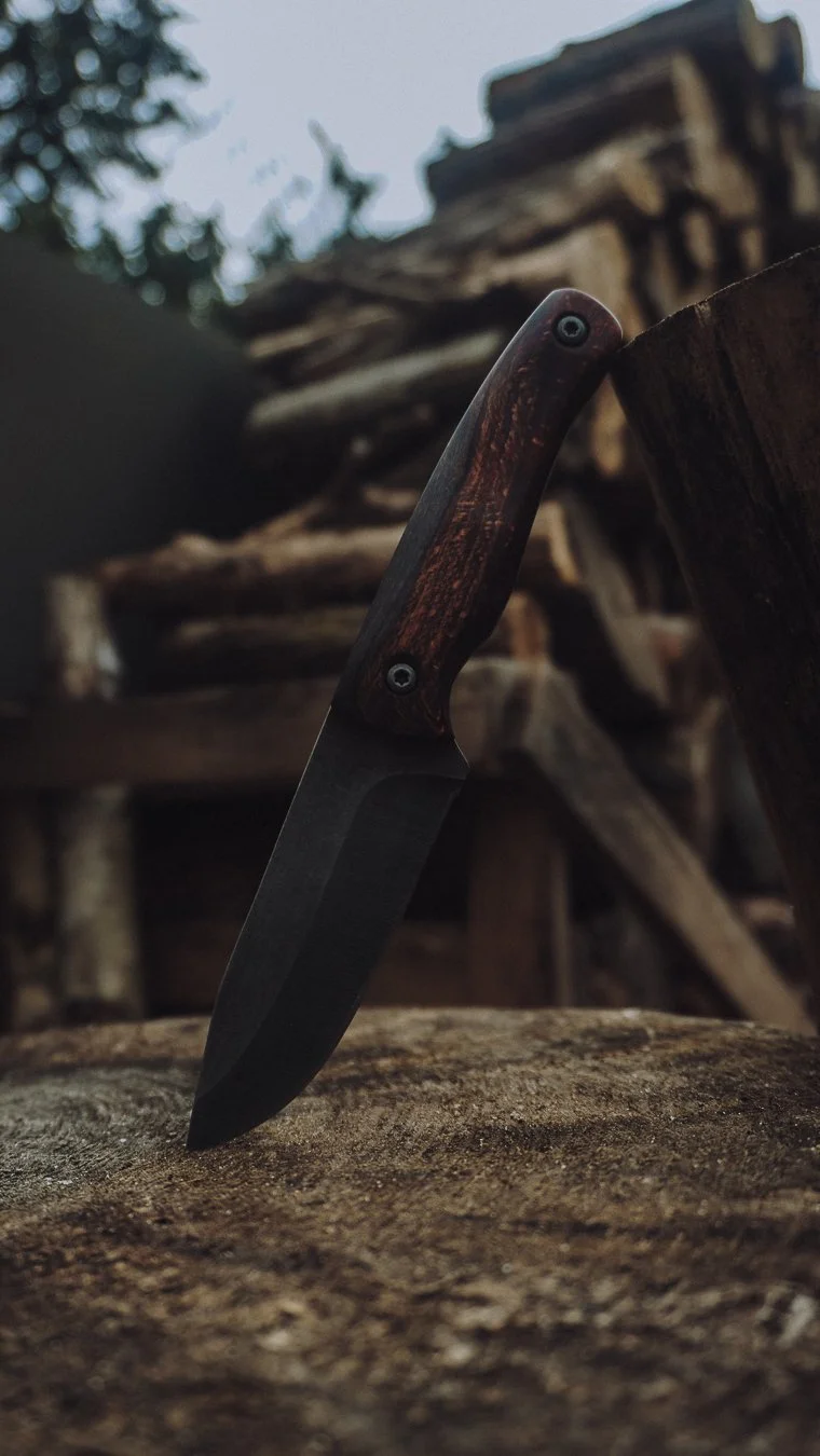 Scout & Wanderer - 17.04.2026-15.jpg