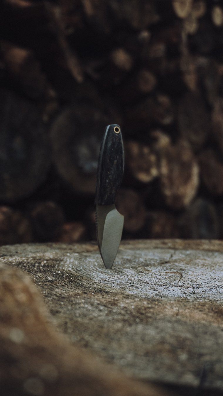 Scout & Wanderer - 17.04.2026-07.jpg