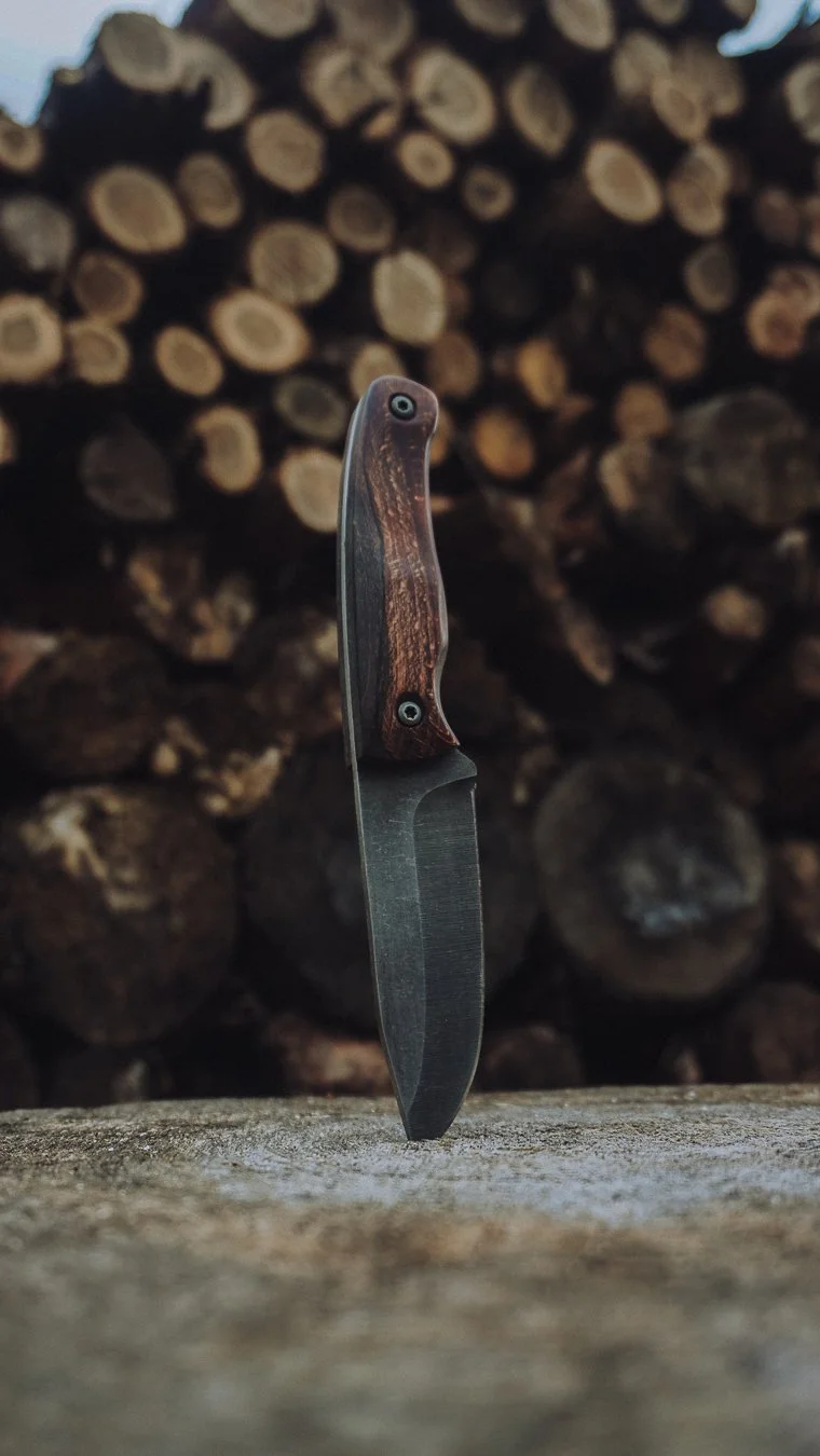 Scout & Wanderer - 17.04.2026-10.jpg