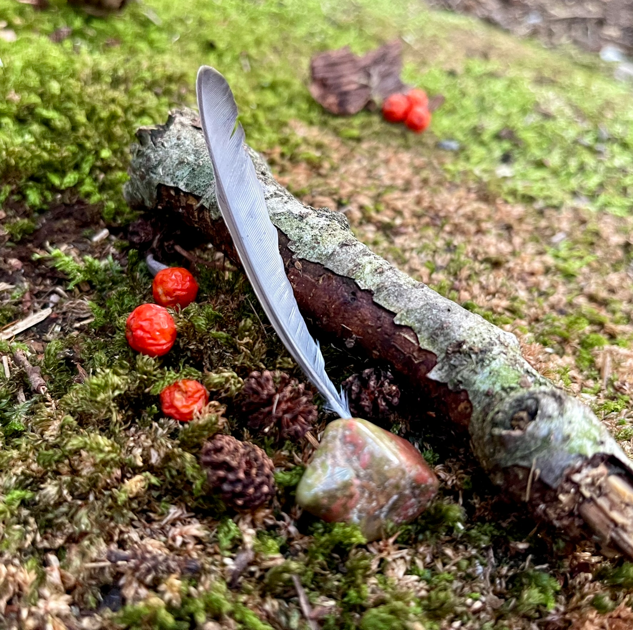 Dankbarkeit an die Natur.png