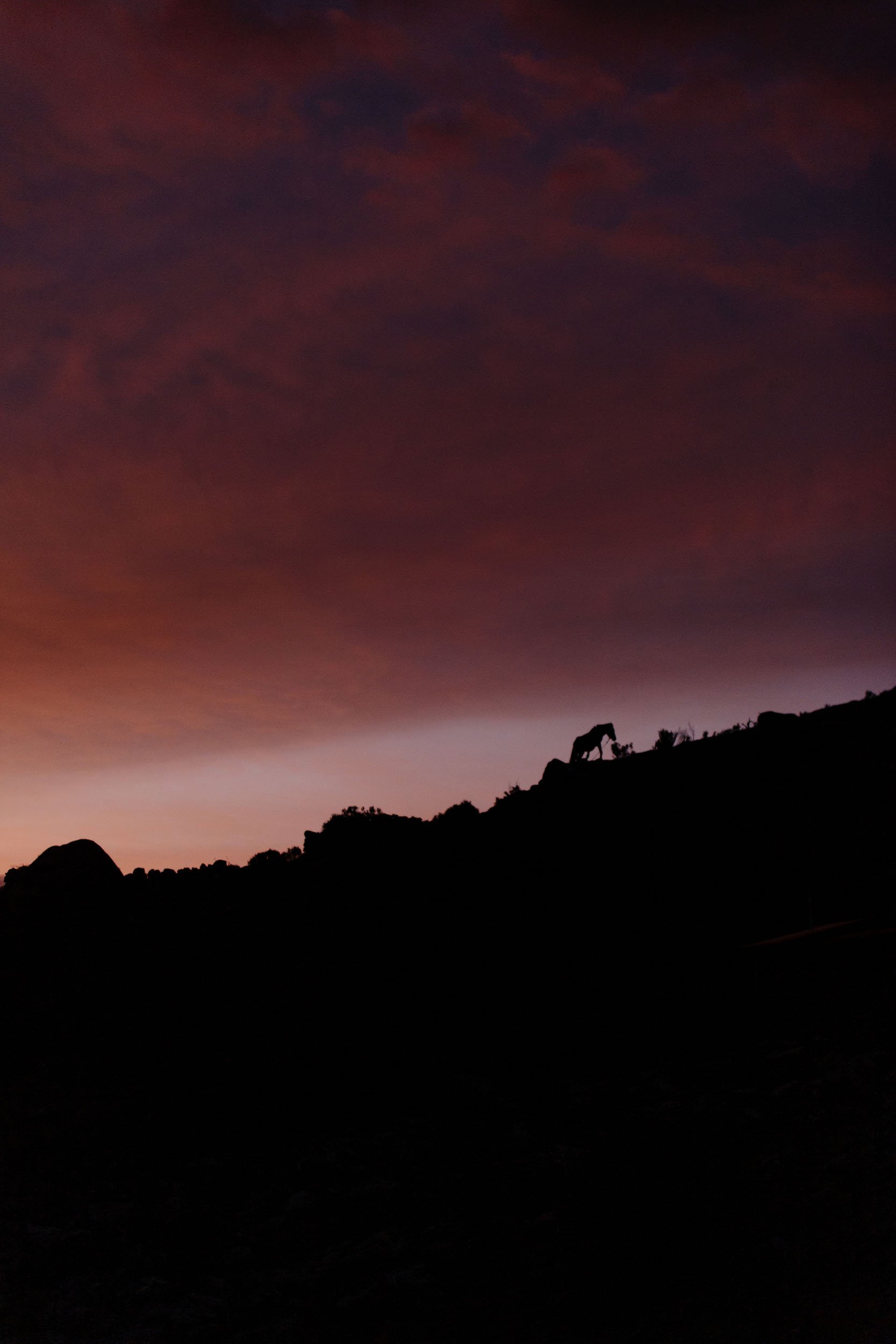 Florian_Wenzel_Photographer_Ulm_Peru_20.jpg
