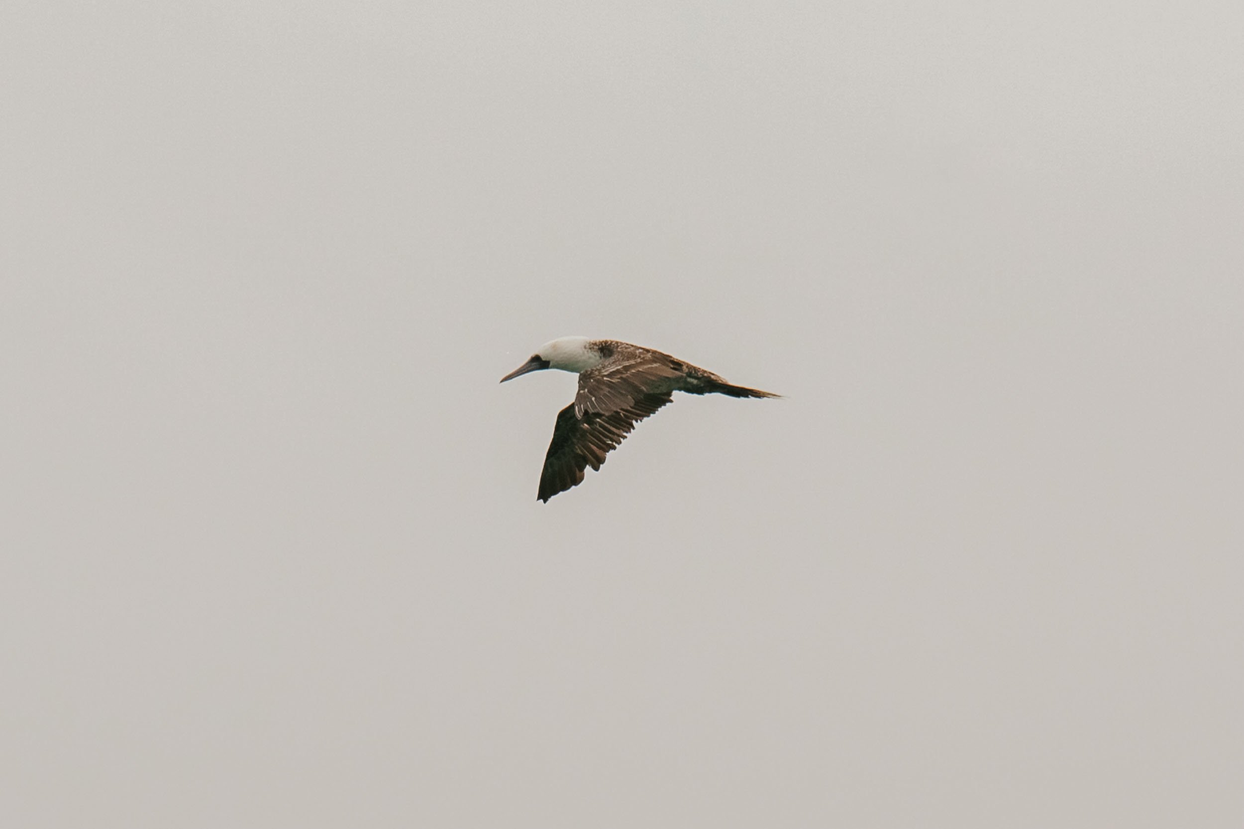Florian_Wenzel_Photographer_Ulm_Peru_01.jpg