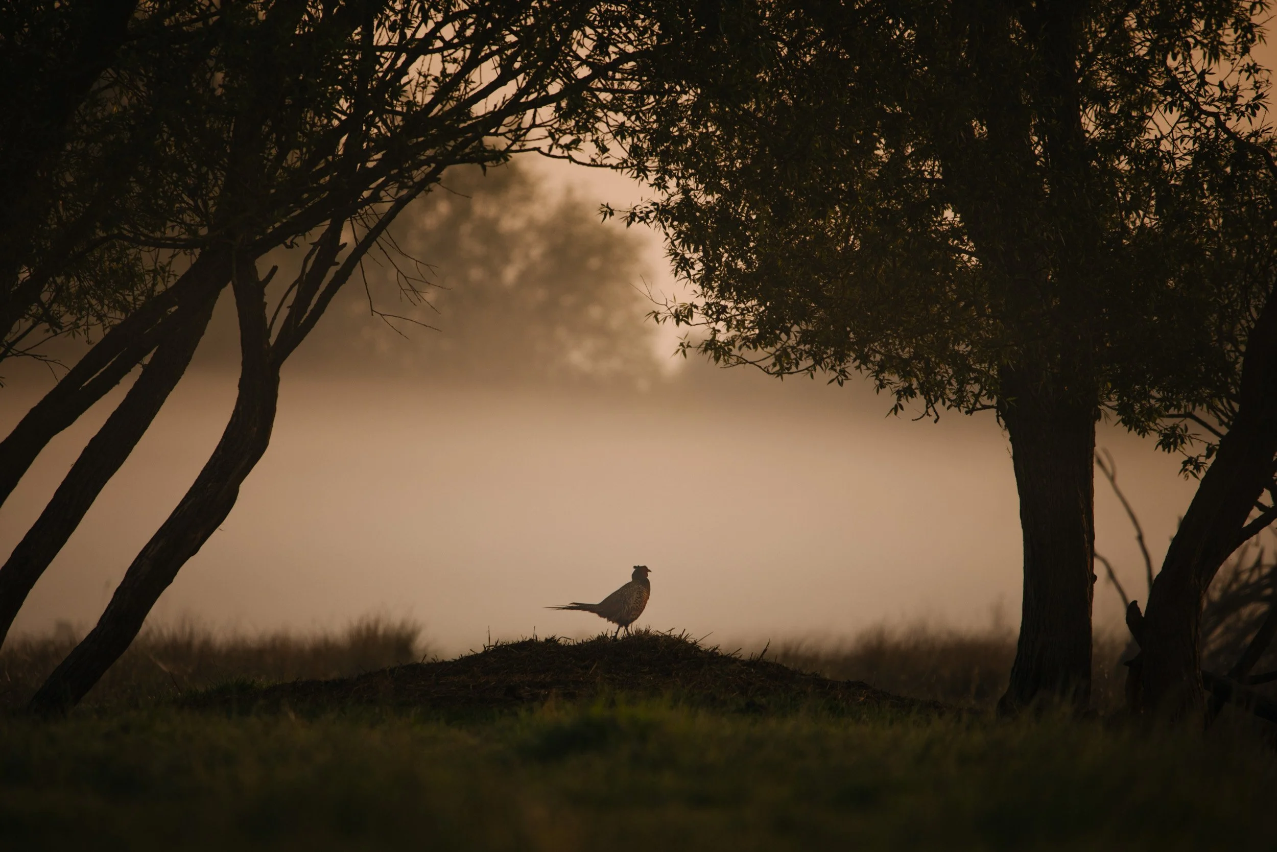 Florian_Wenzel_Photographer_Münsterland_34.jpg