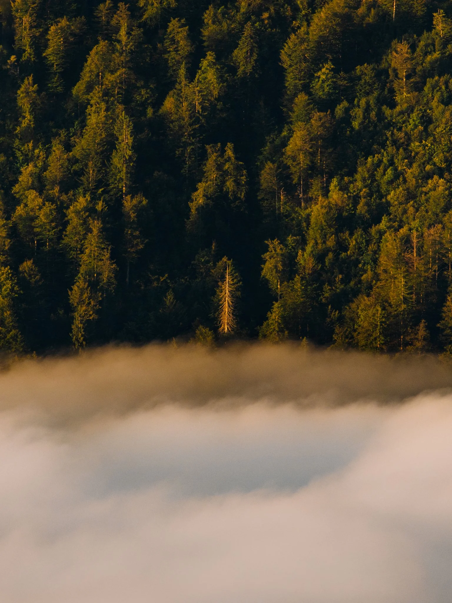Florian_Wenzel_Photographer_Ulm_Slovenia - 52.jpg