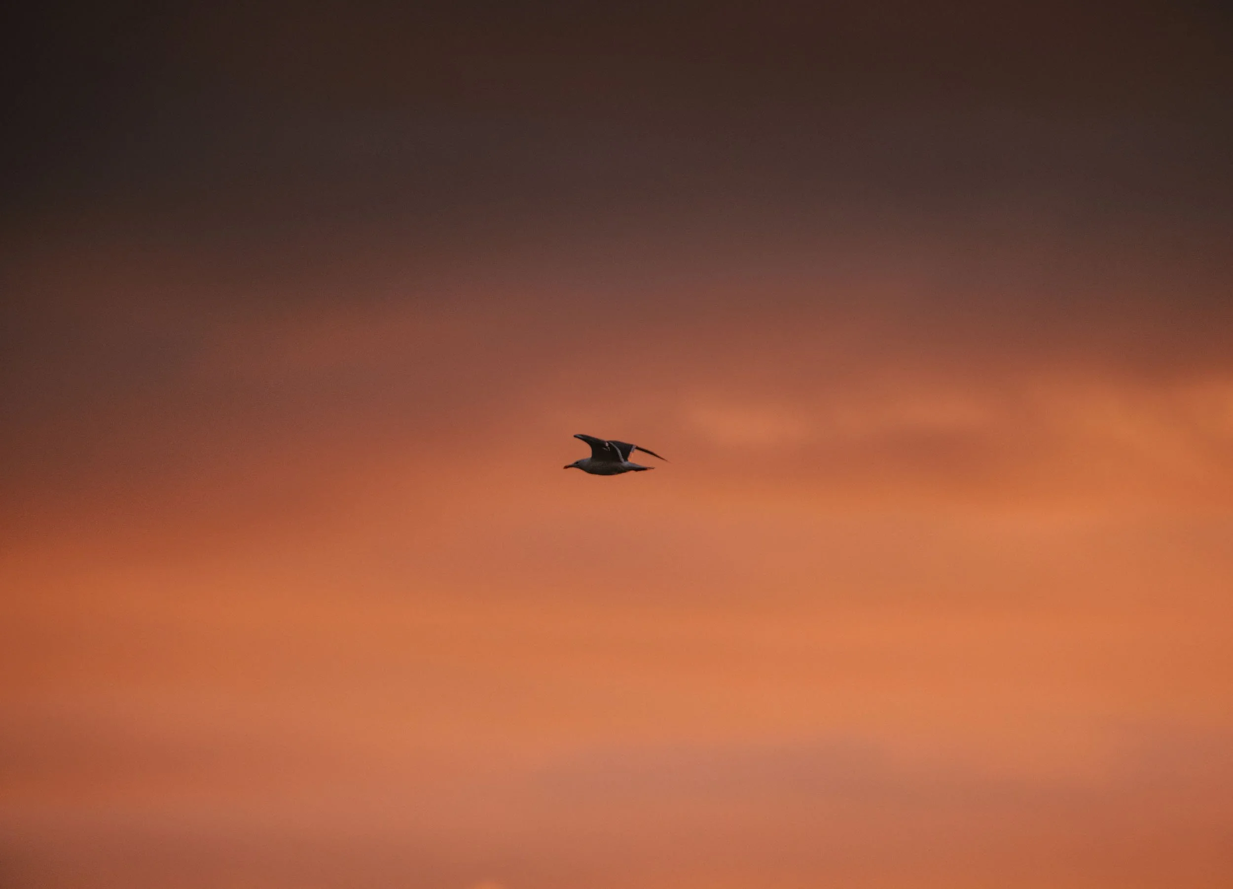 Florian_Wenzel_Photographer_Ulm_Norway_13.jpg