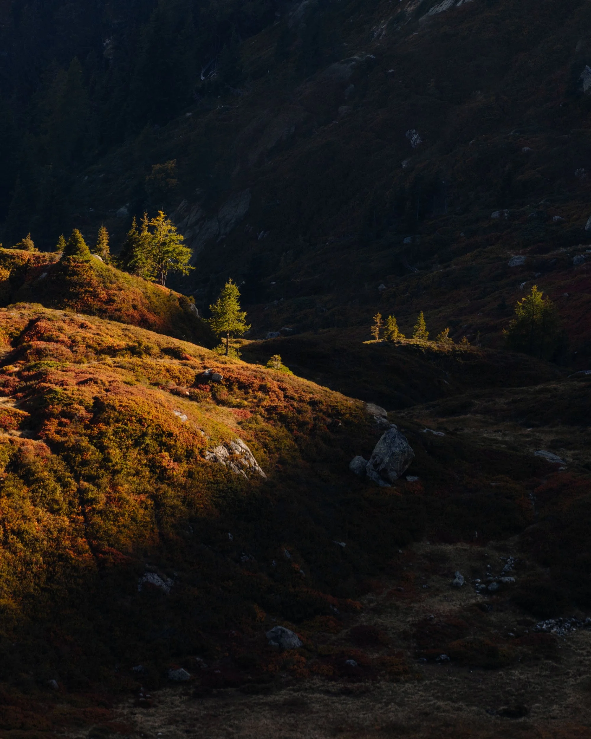 Florian_Wenzel_Photographer_Ulm_Autumn_Alps_21.jpg
