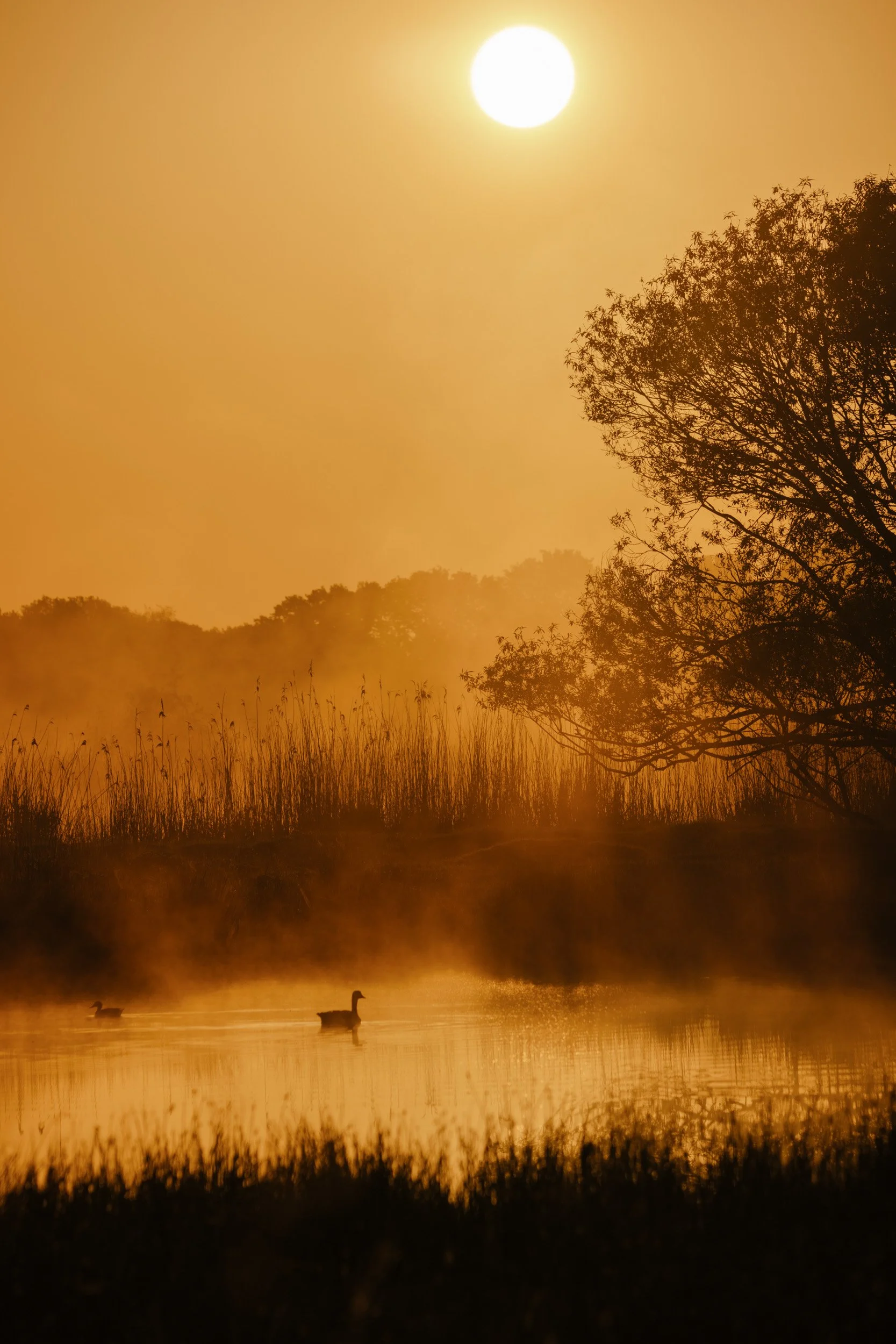 Florian_Wenzel_Photographer_Münsterland_38.jpg