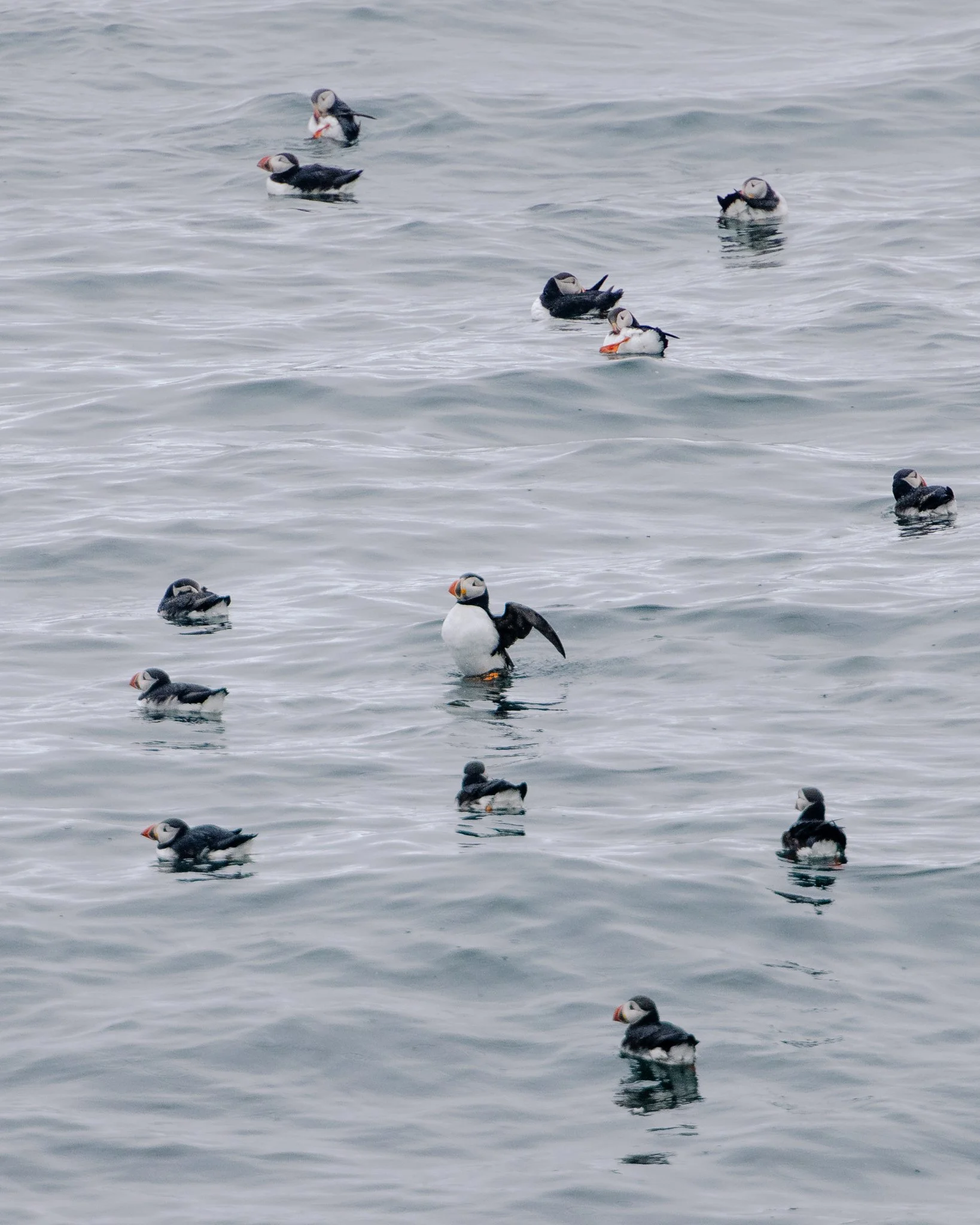 Florian_Wenzel_Photographer_Ulm_Iceland - 53.jpg